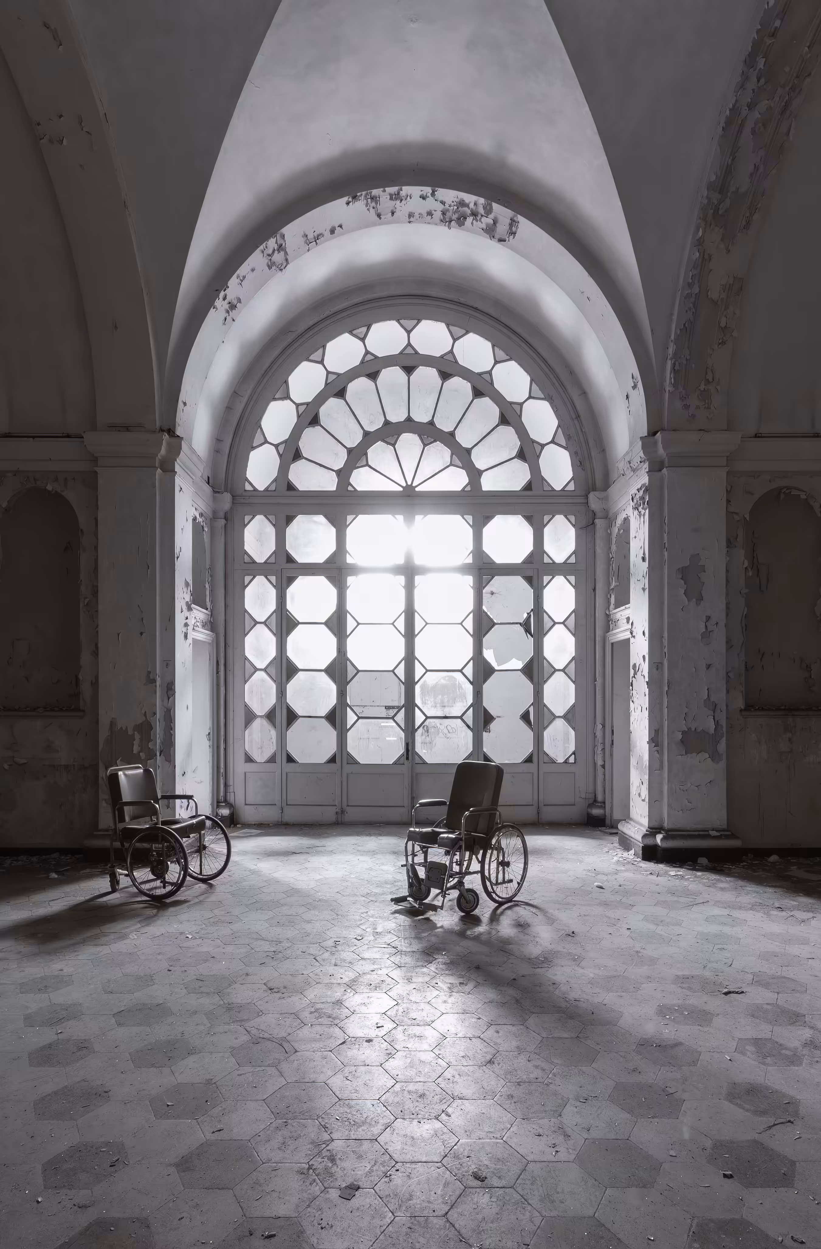 Asylum