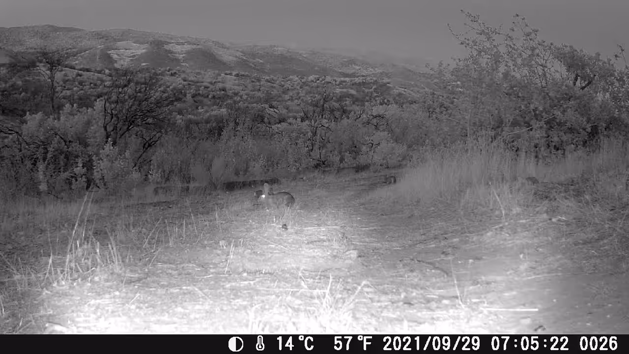 TOYON BEND 09/29/21