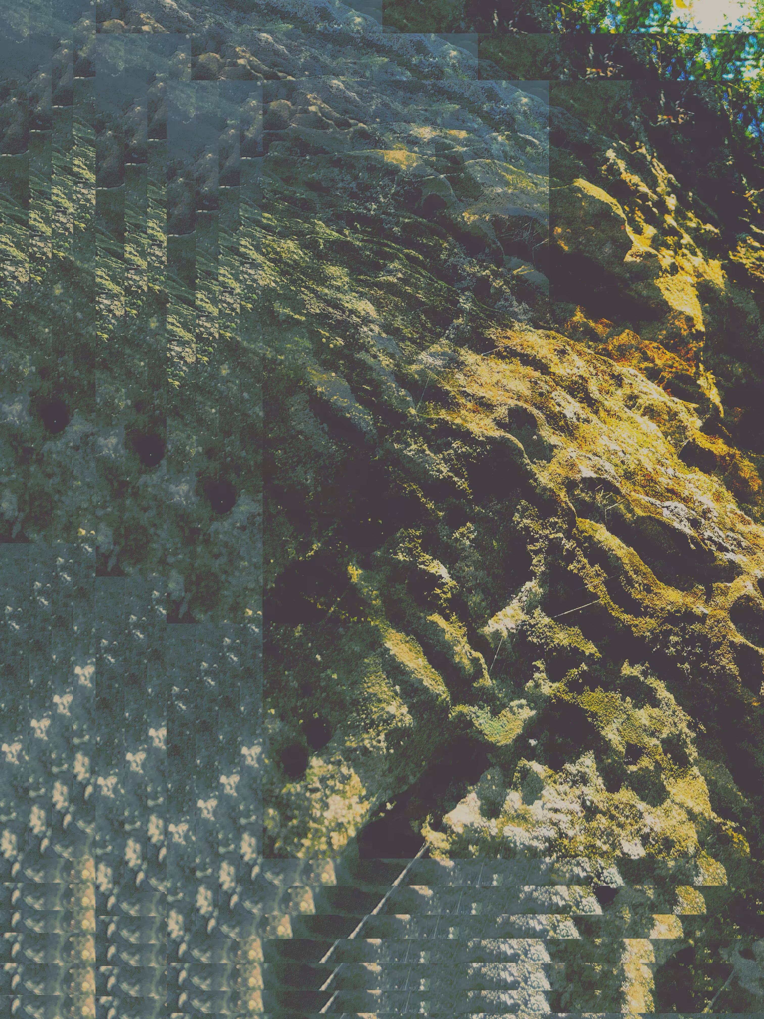 "fools gold"
