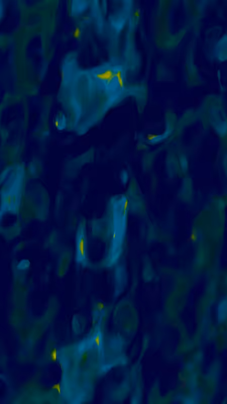 {Lumina} #1494
