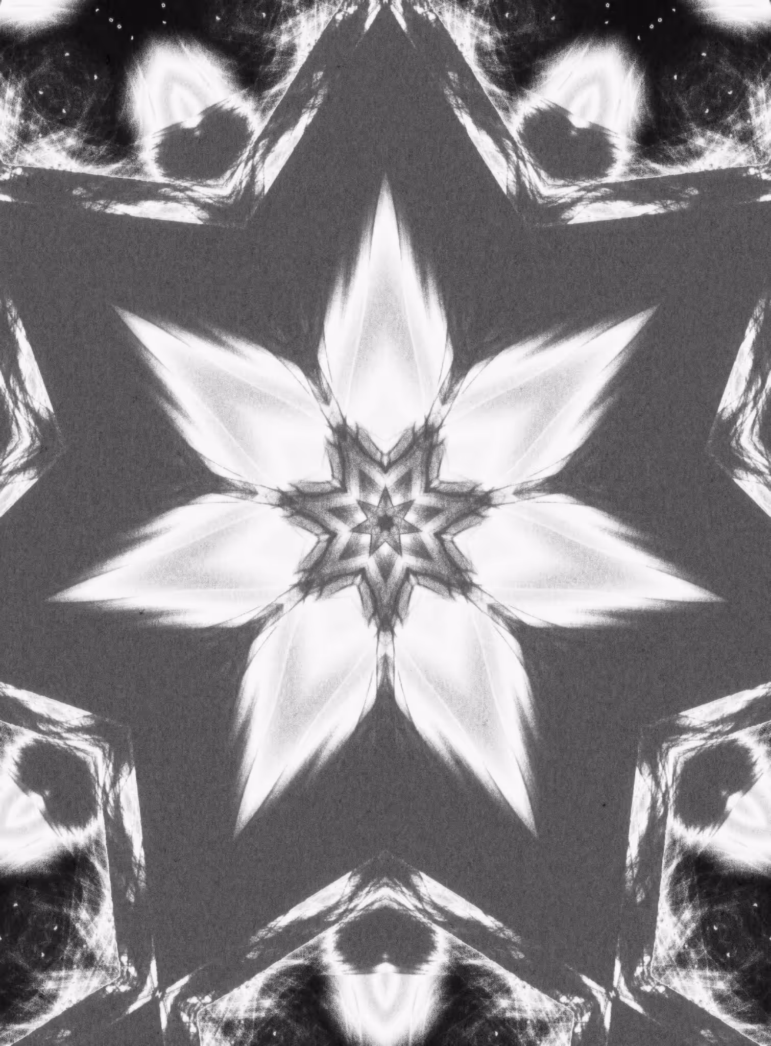 Bloom