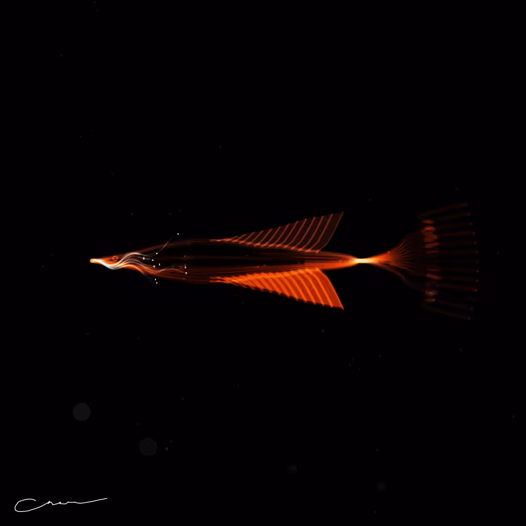 SoulFish #219