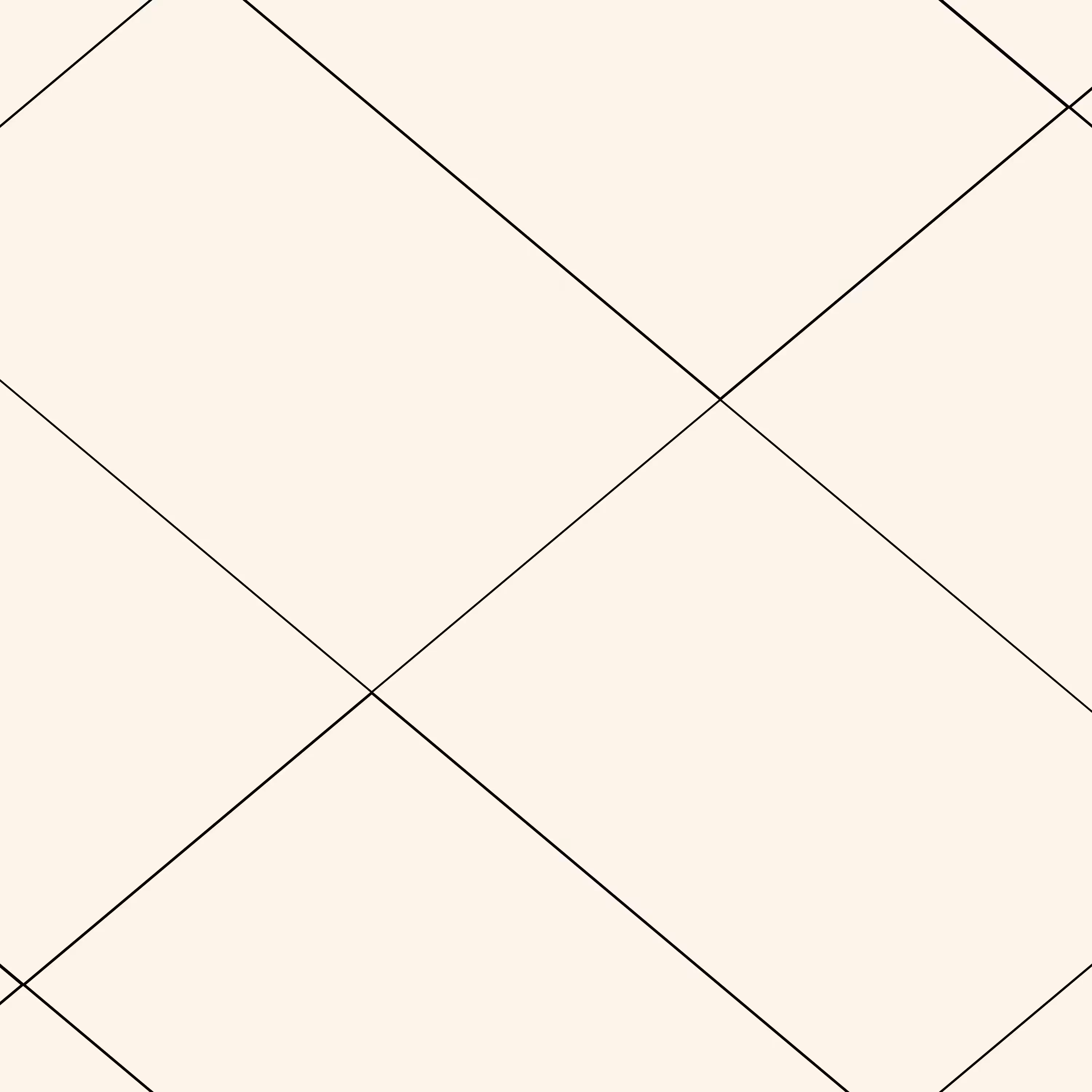 Decagon #30205