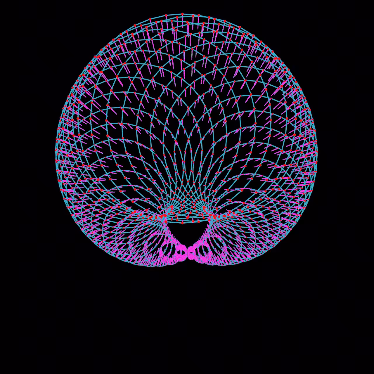 SHELL 2