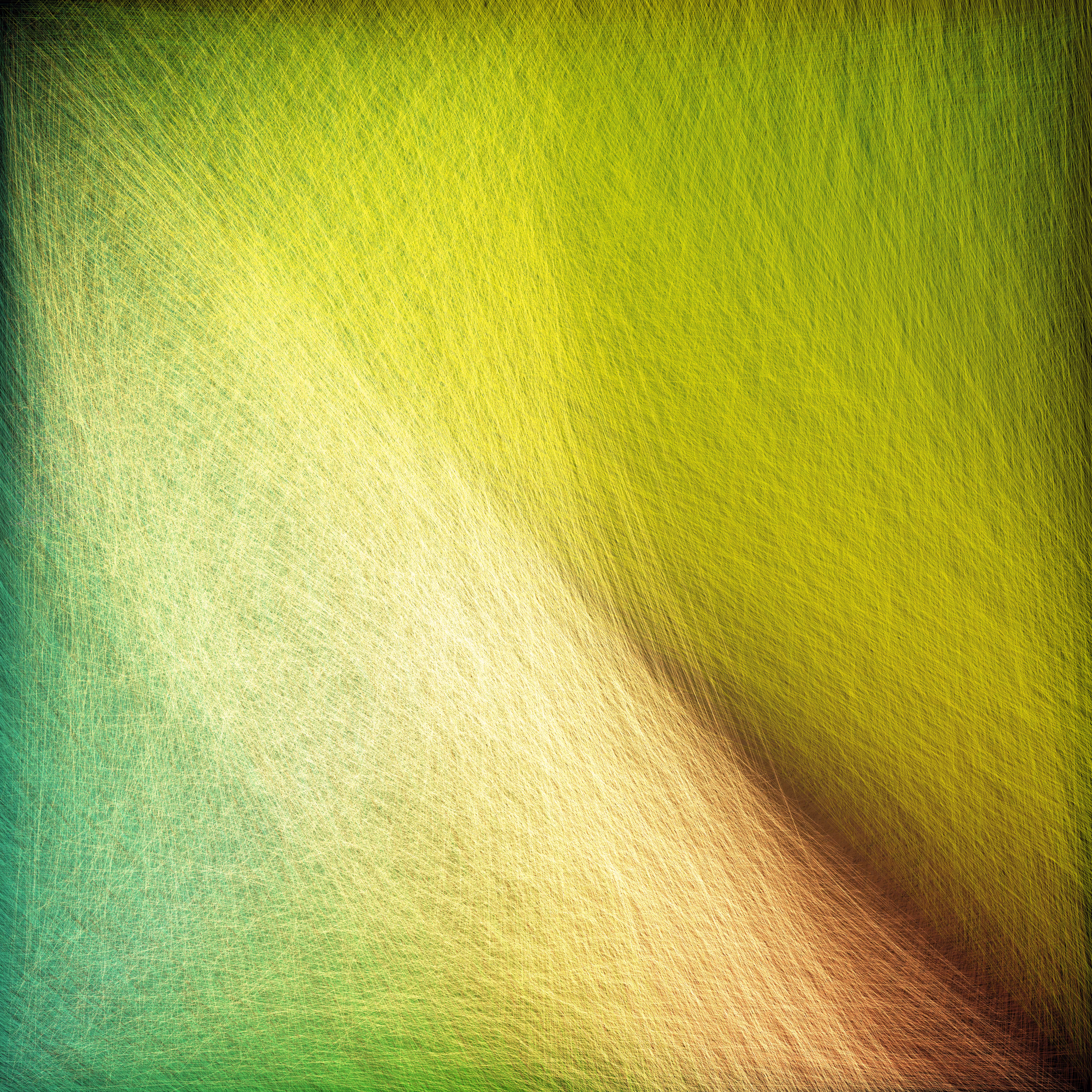 Ephemera #6