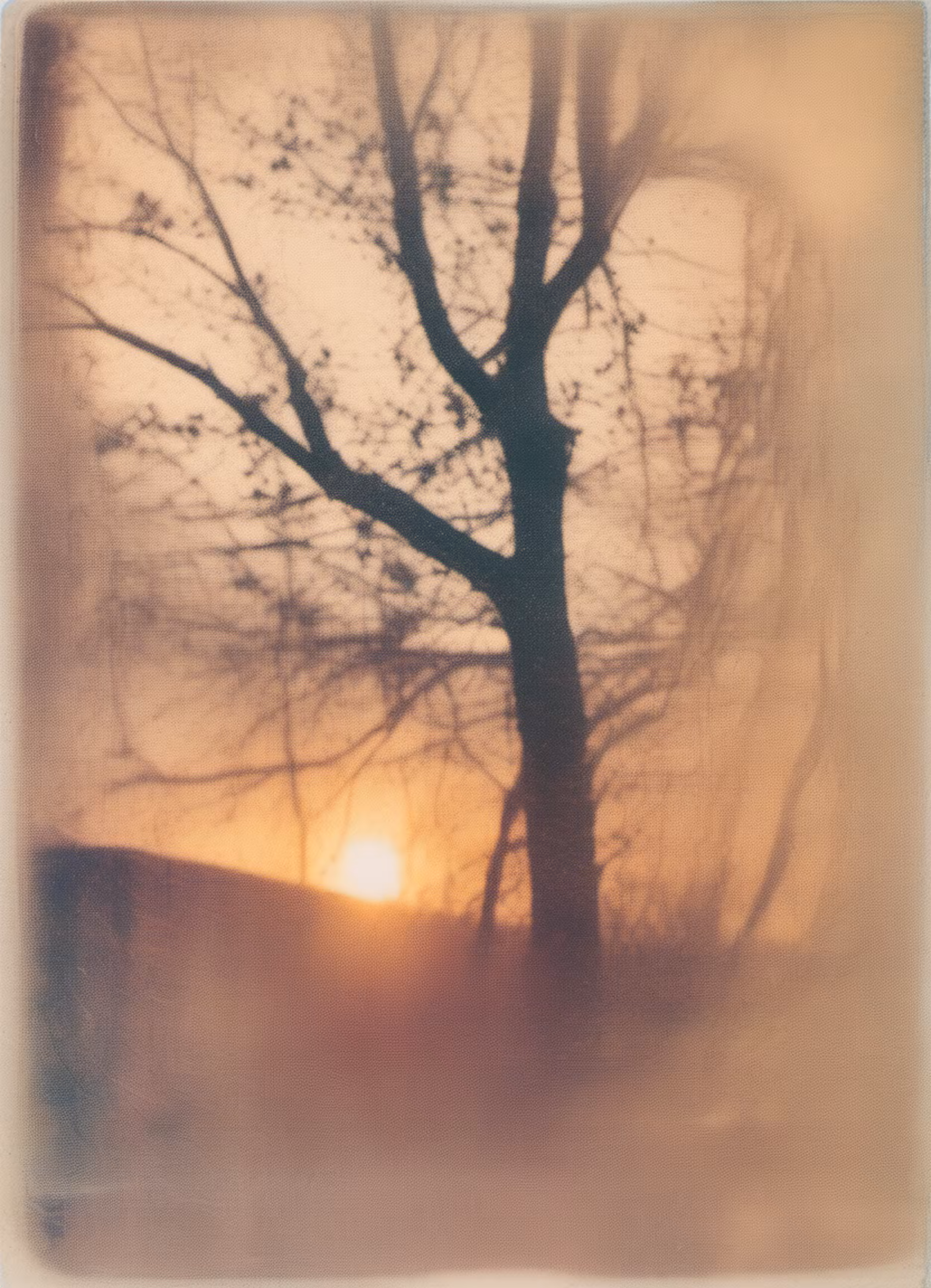 Summer Distortions #77