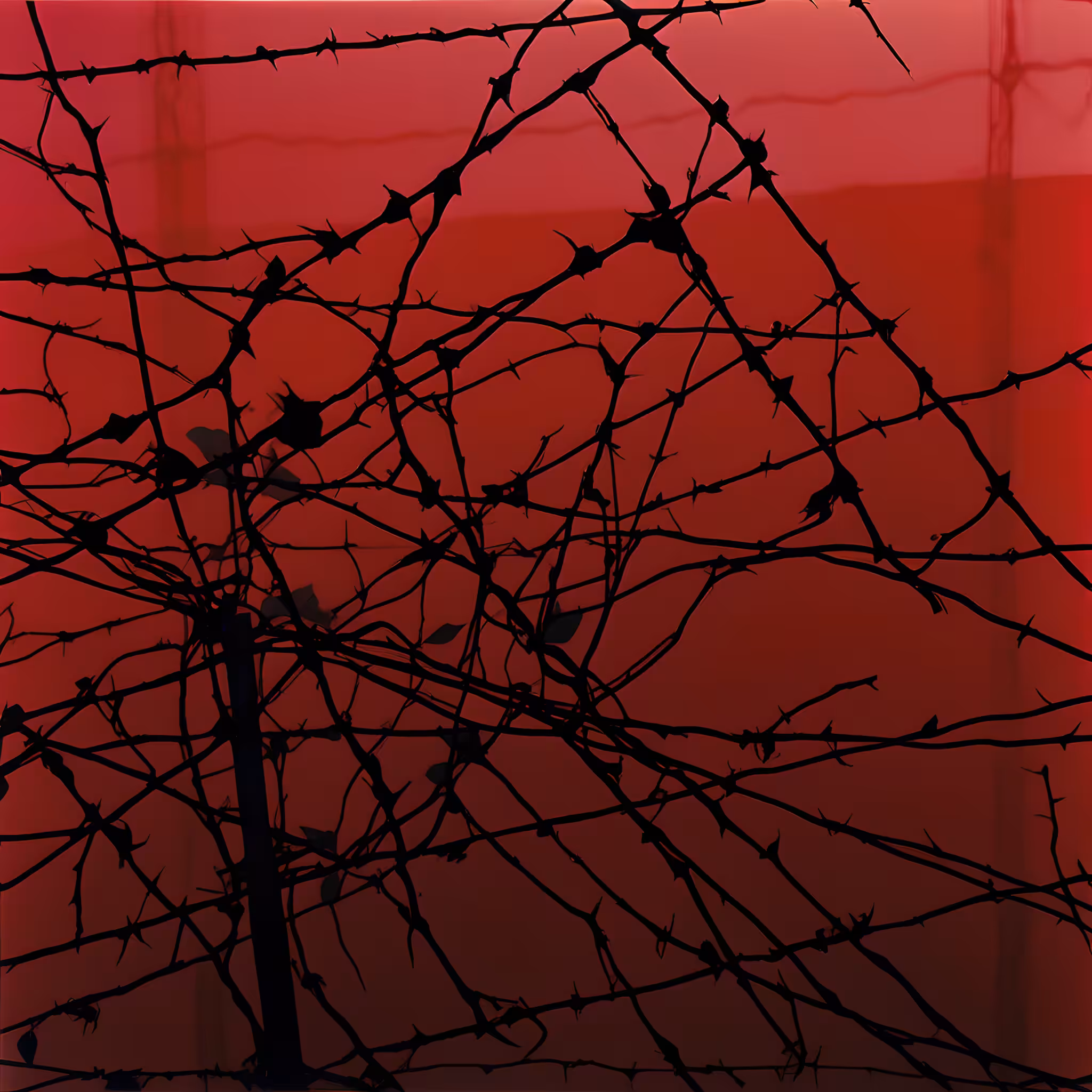 Between the hurricane and the wind #2