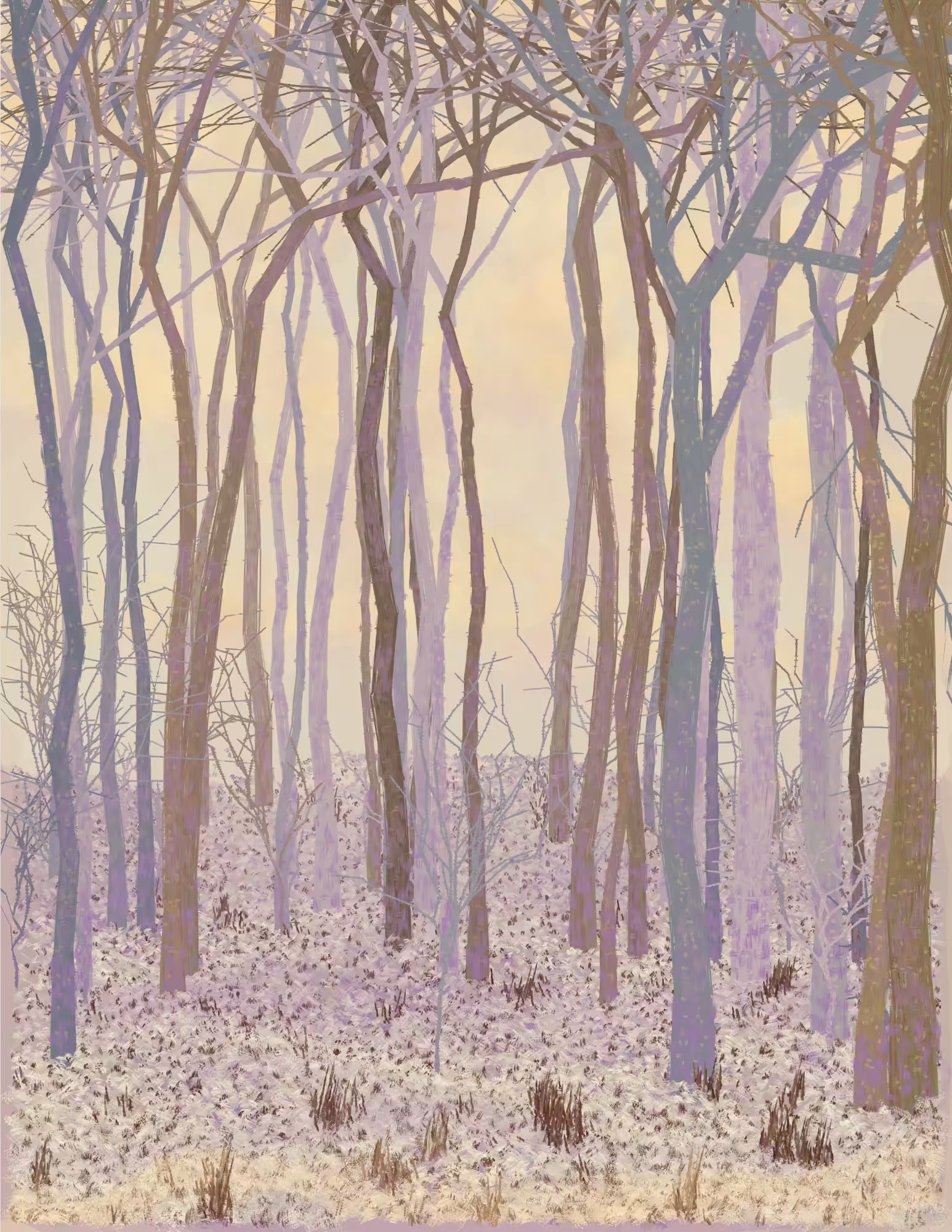 Deep Forest #326