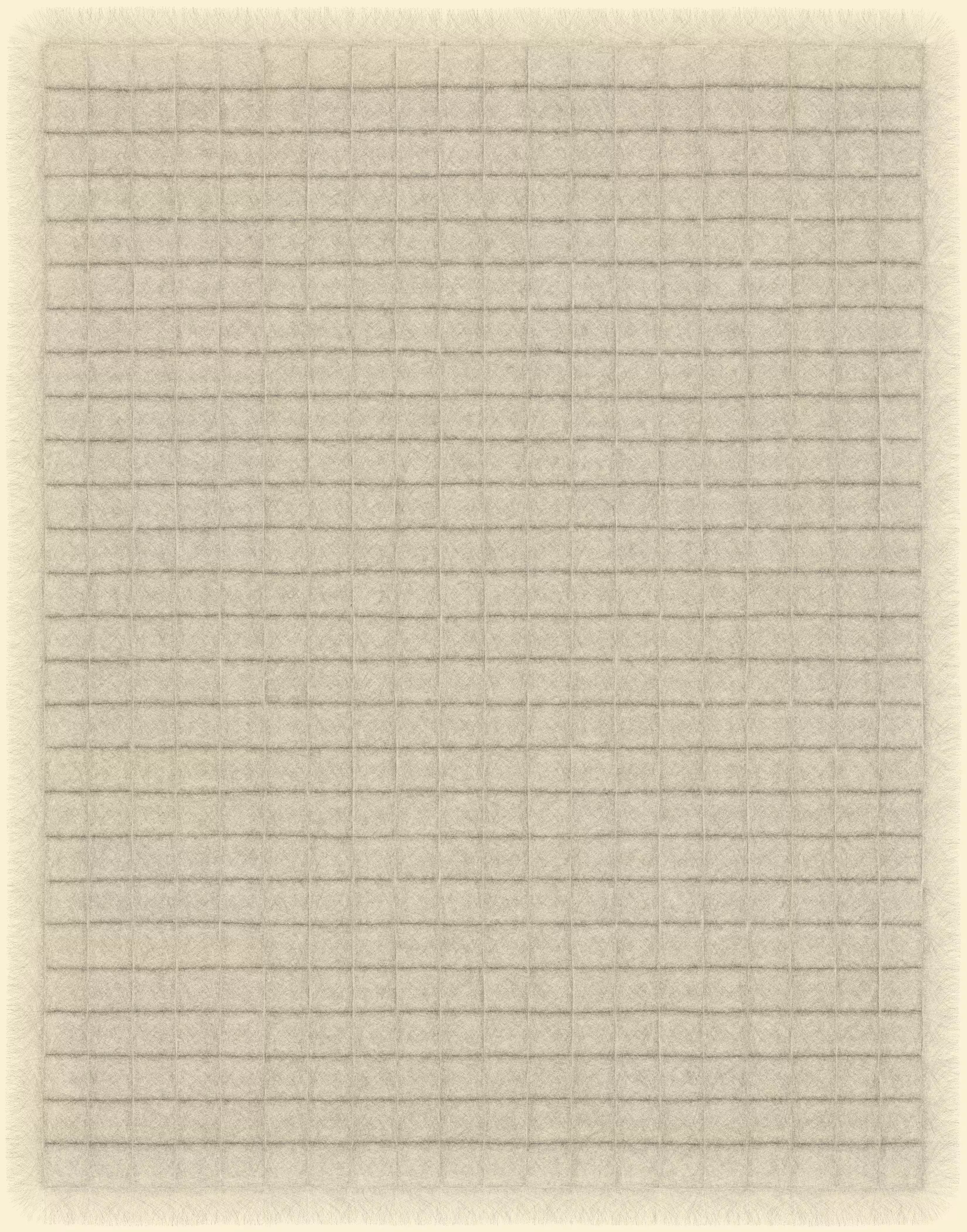 fuzzy grid 30
