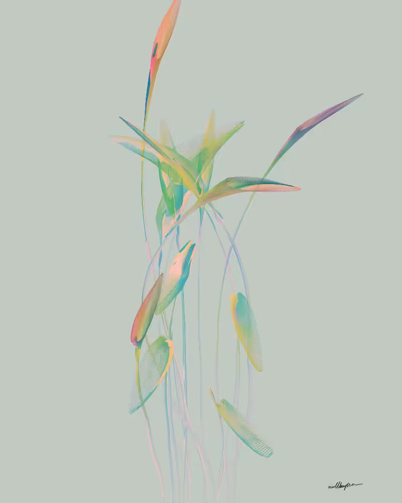 InBloom #17