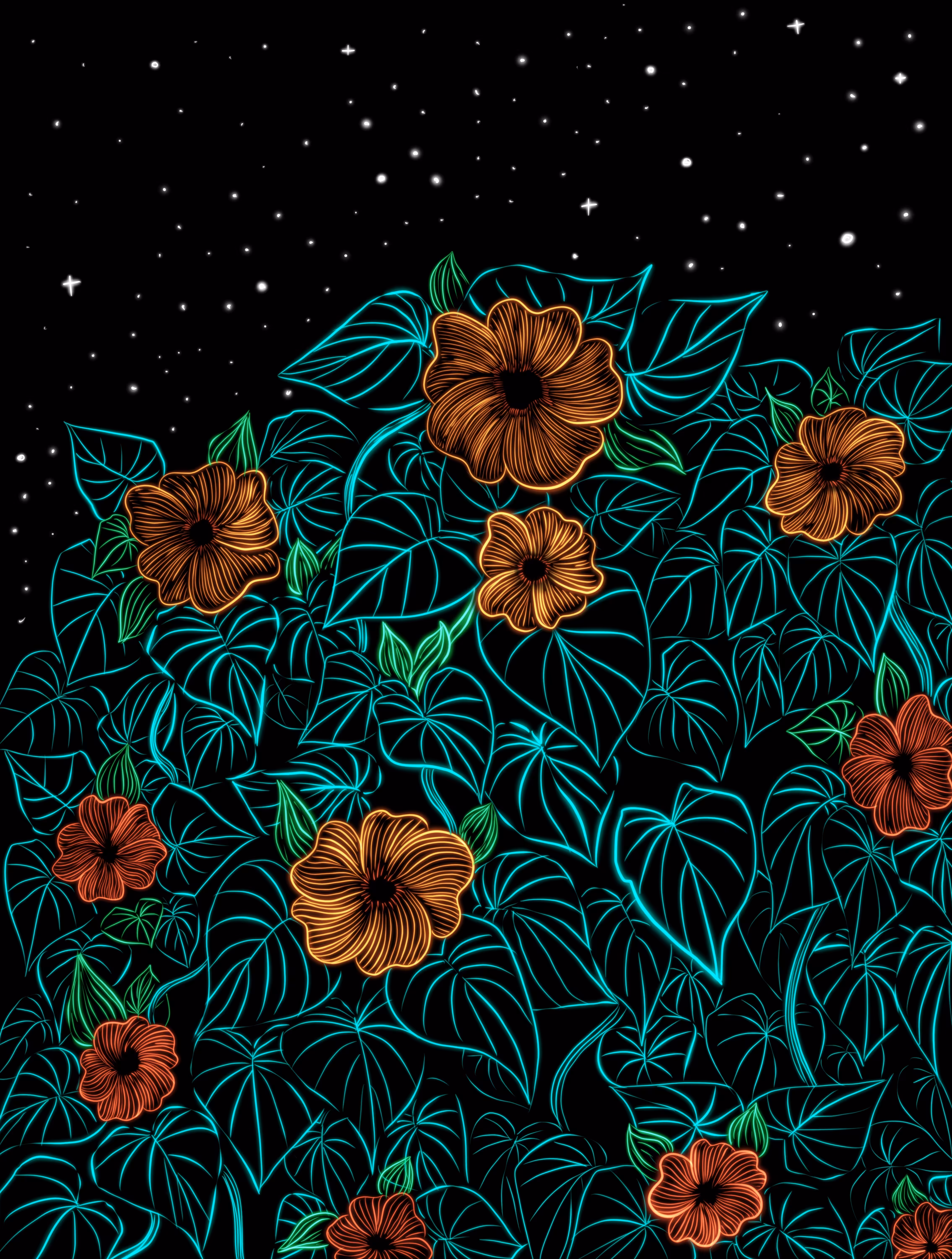 Black-Eyed Susan