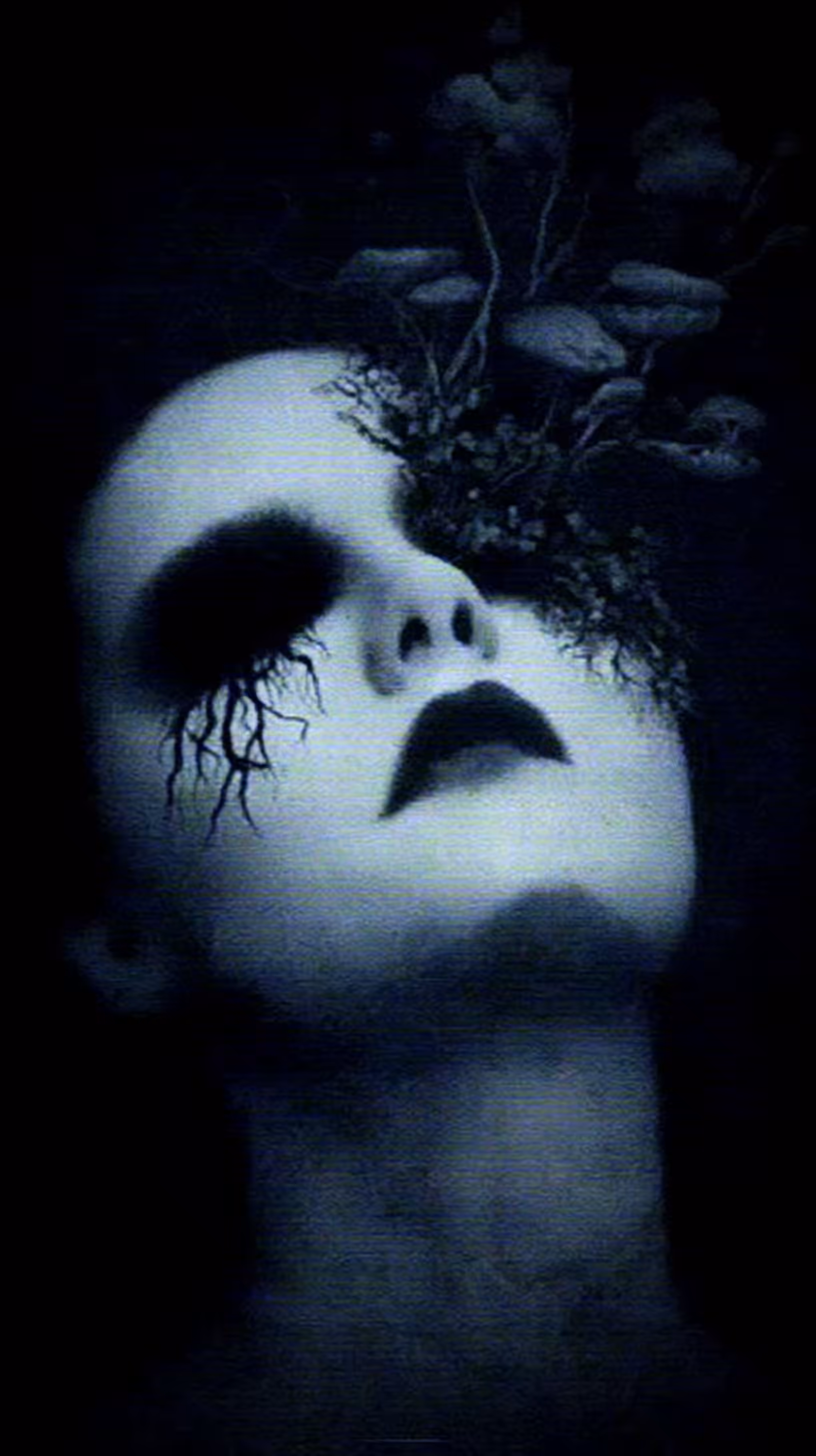 Bloom From the Hollow