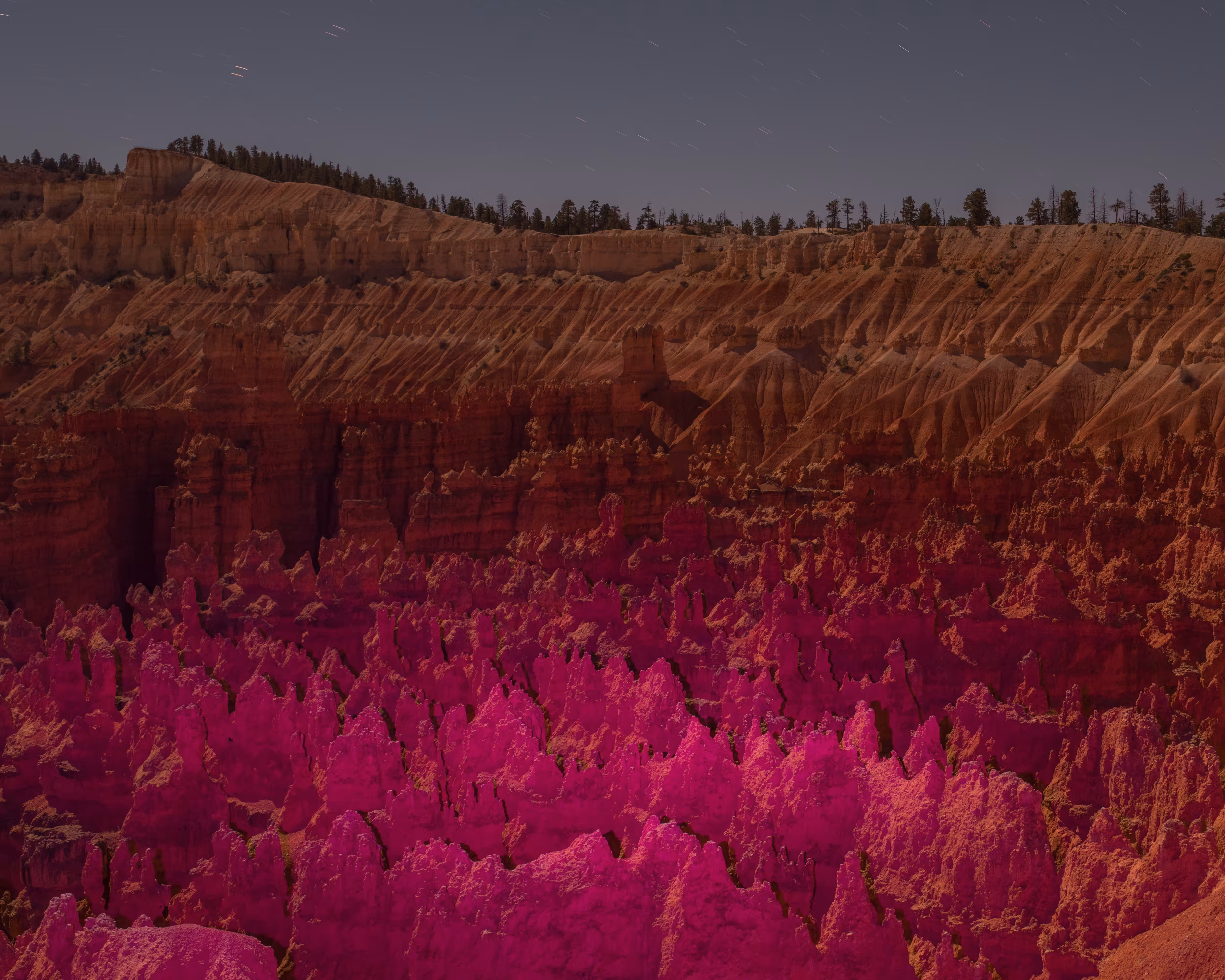 Bleeding Magenta #8