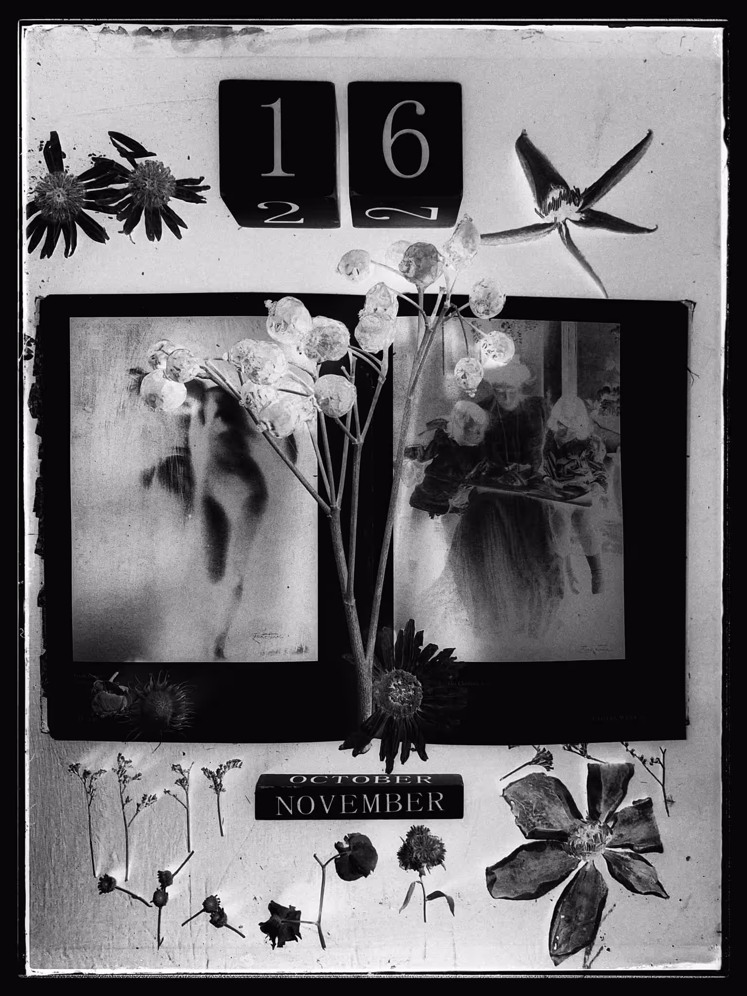 work of silences and deep