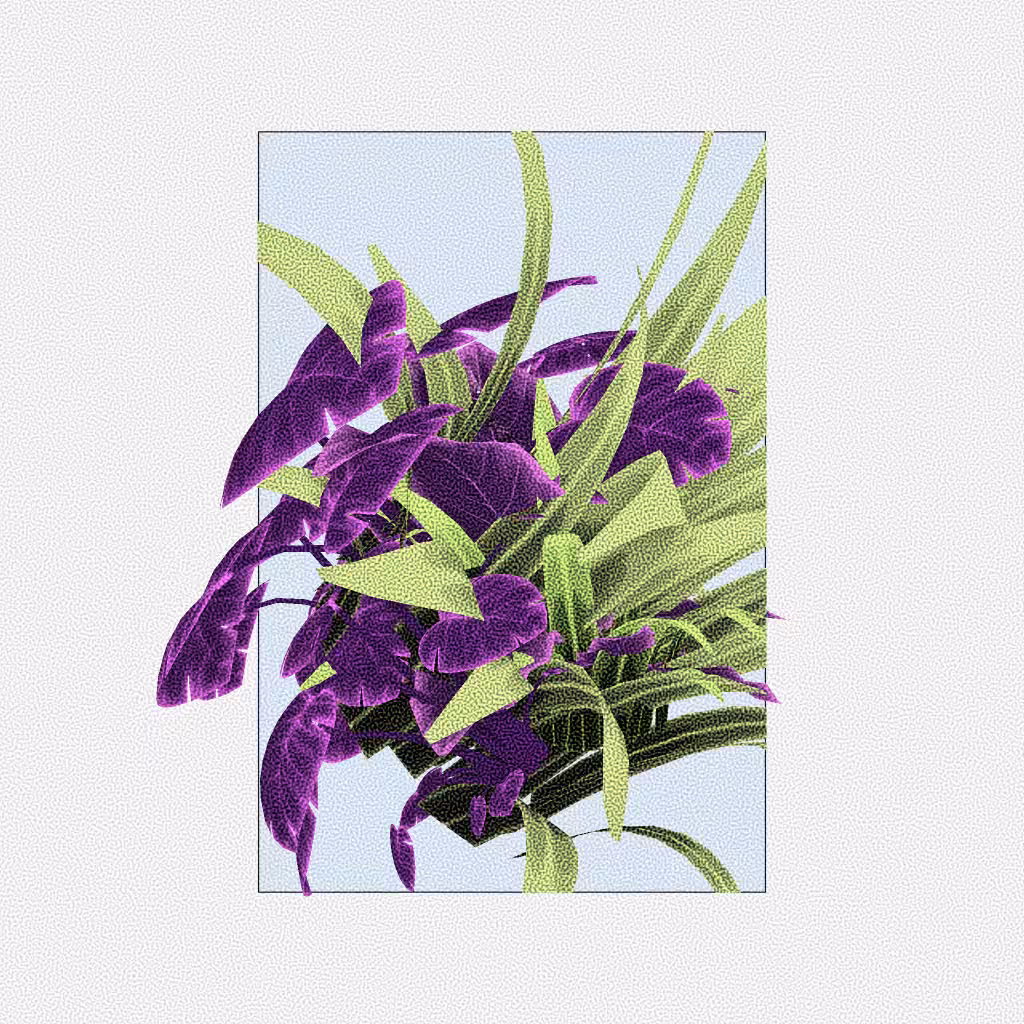 Botany #94