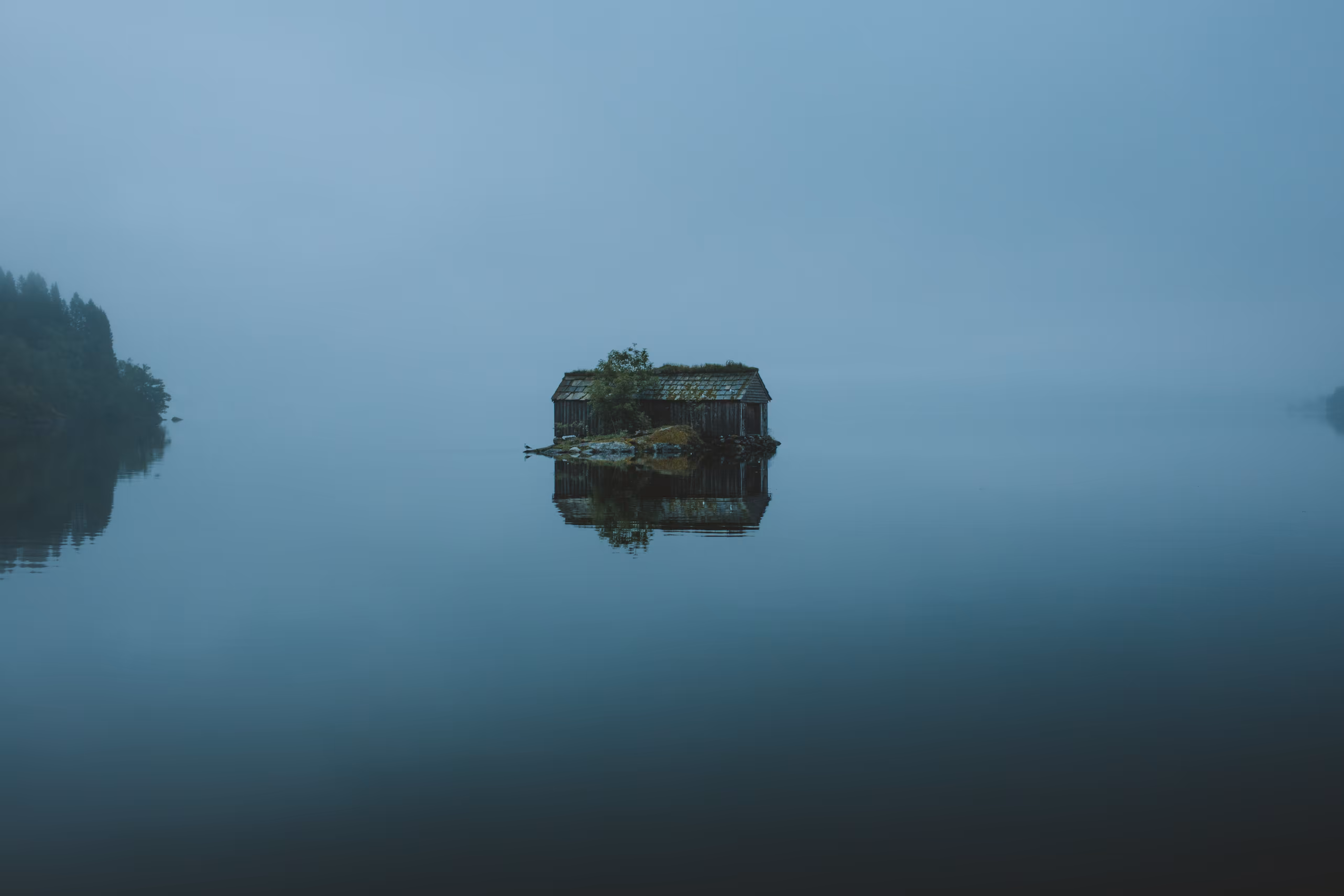 Isolate