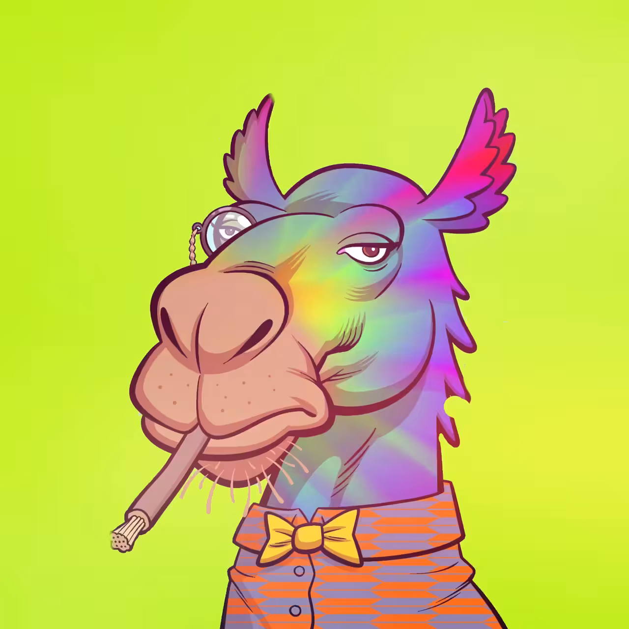 Arabian camel #247 Trippin Balls 