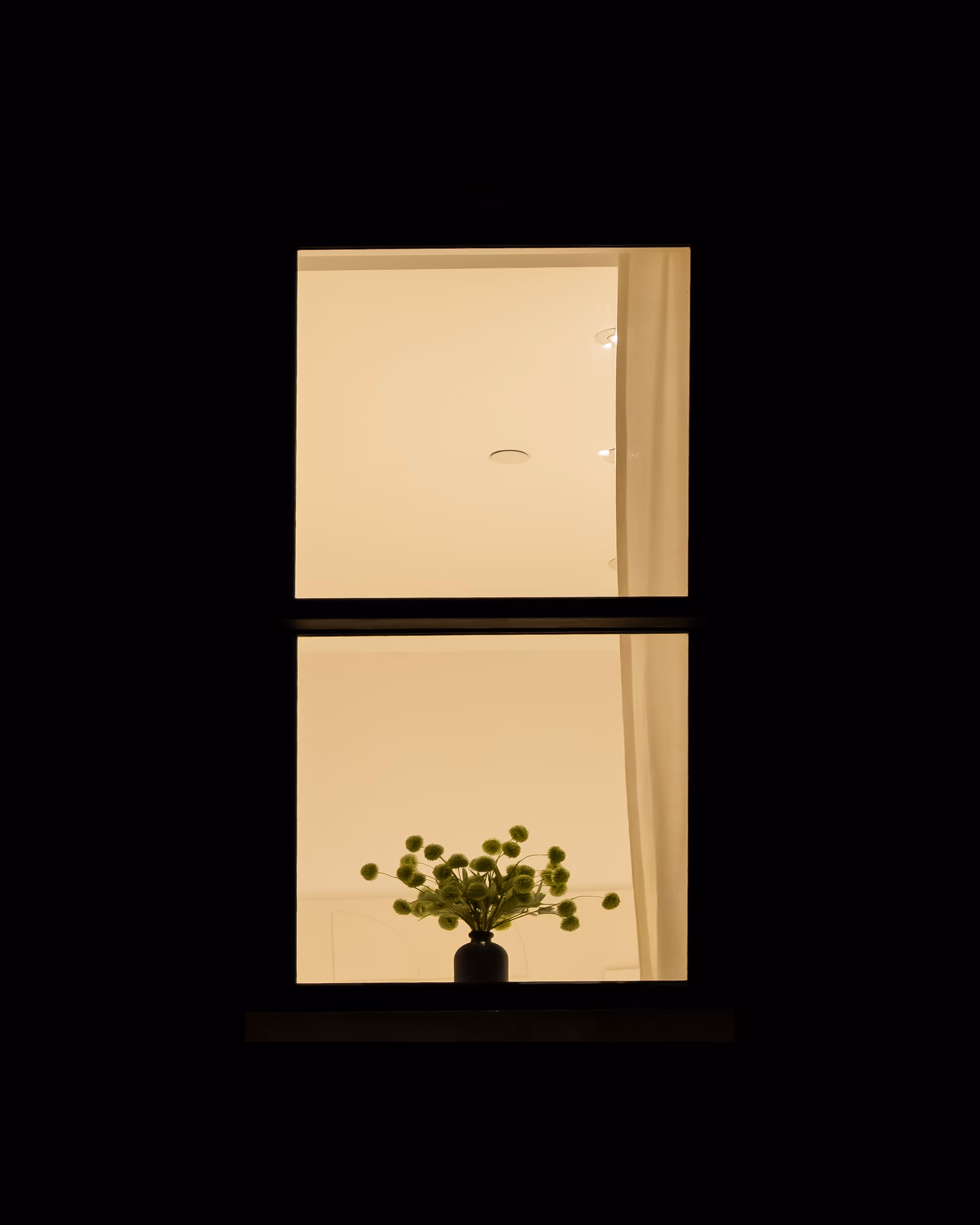 WINDOWS // NYC: WINDOW 423