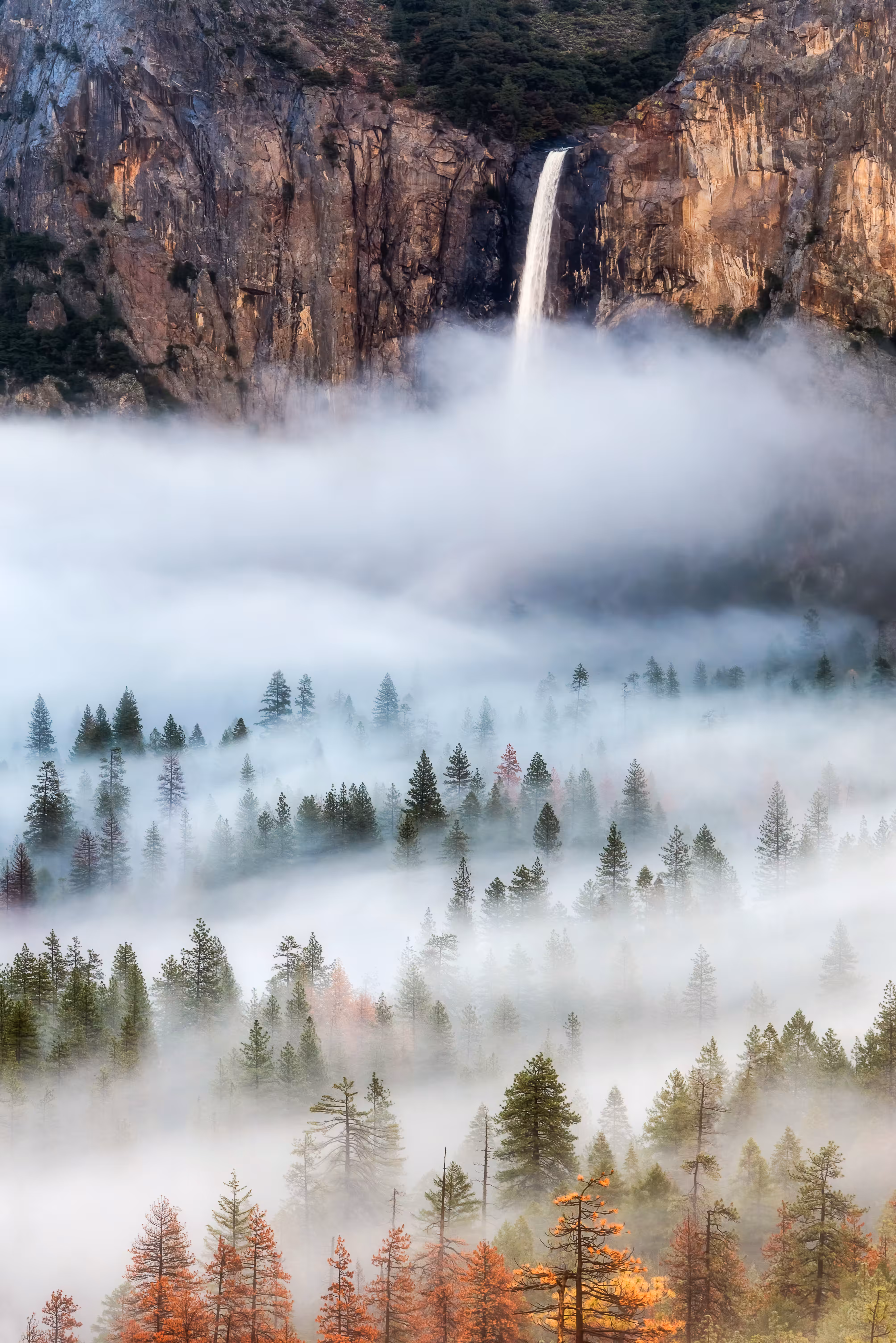 Into the Mist