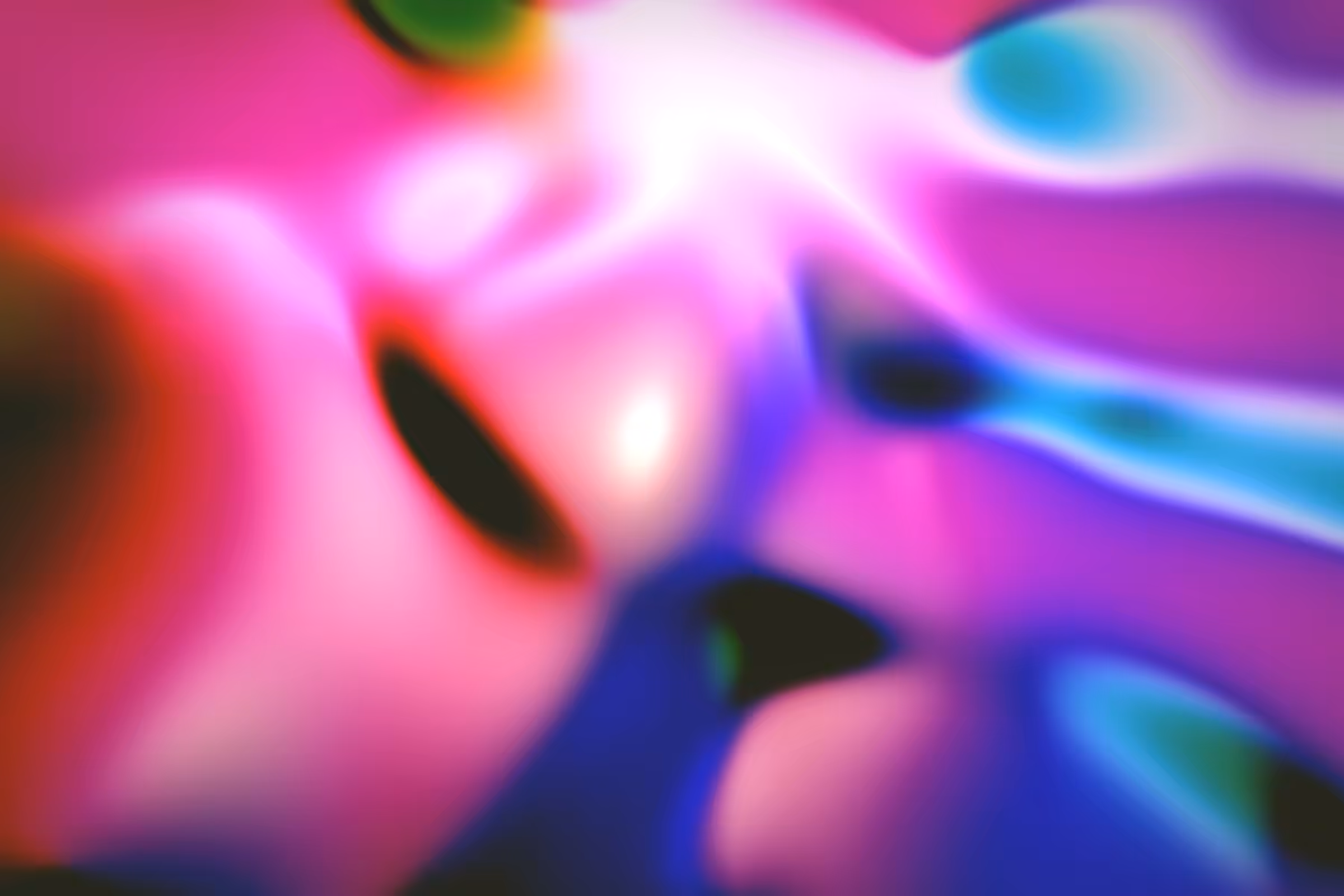 Flux #257