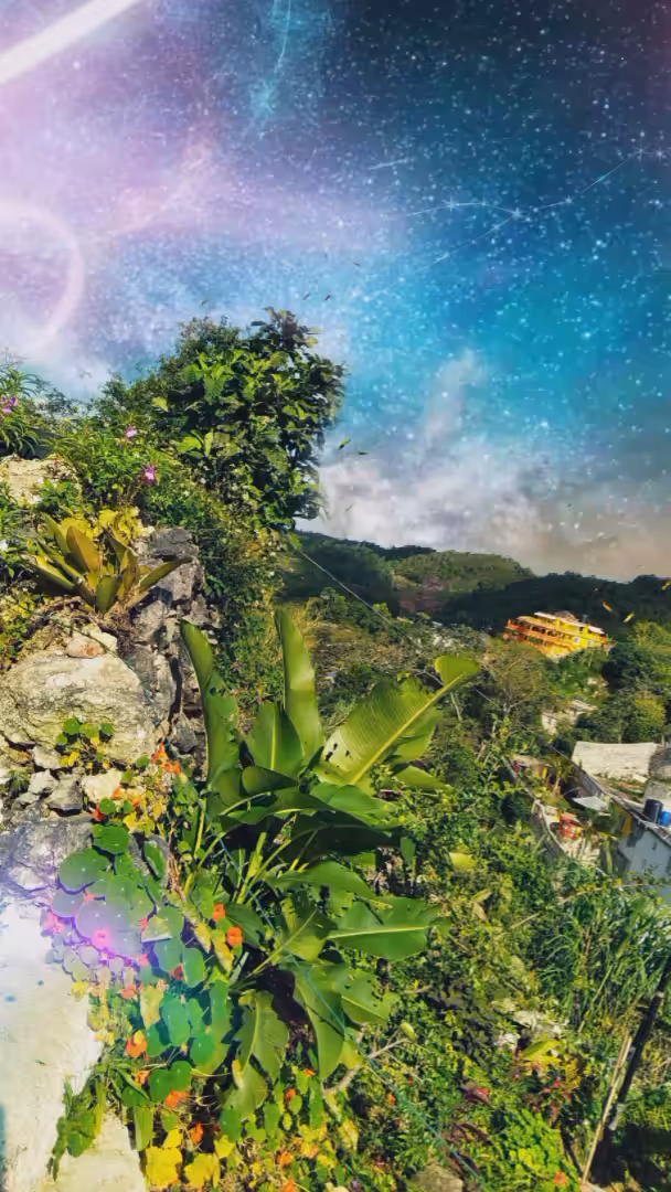 Natural Mystic₪