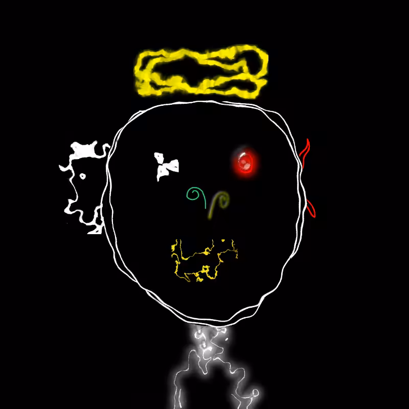Distortion #13