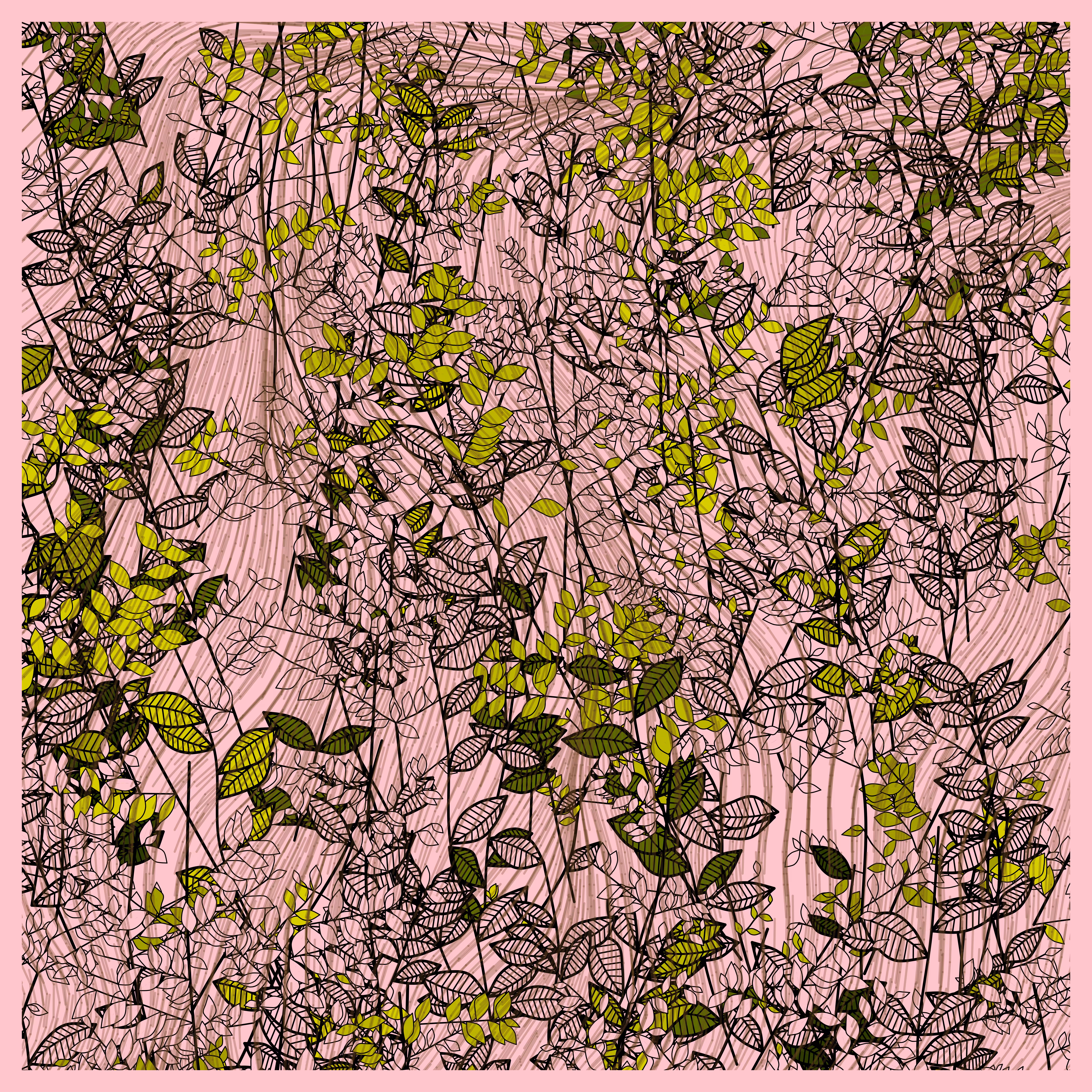Random Plants #188