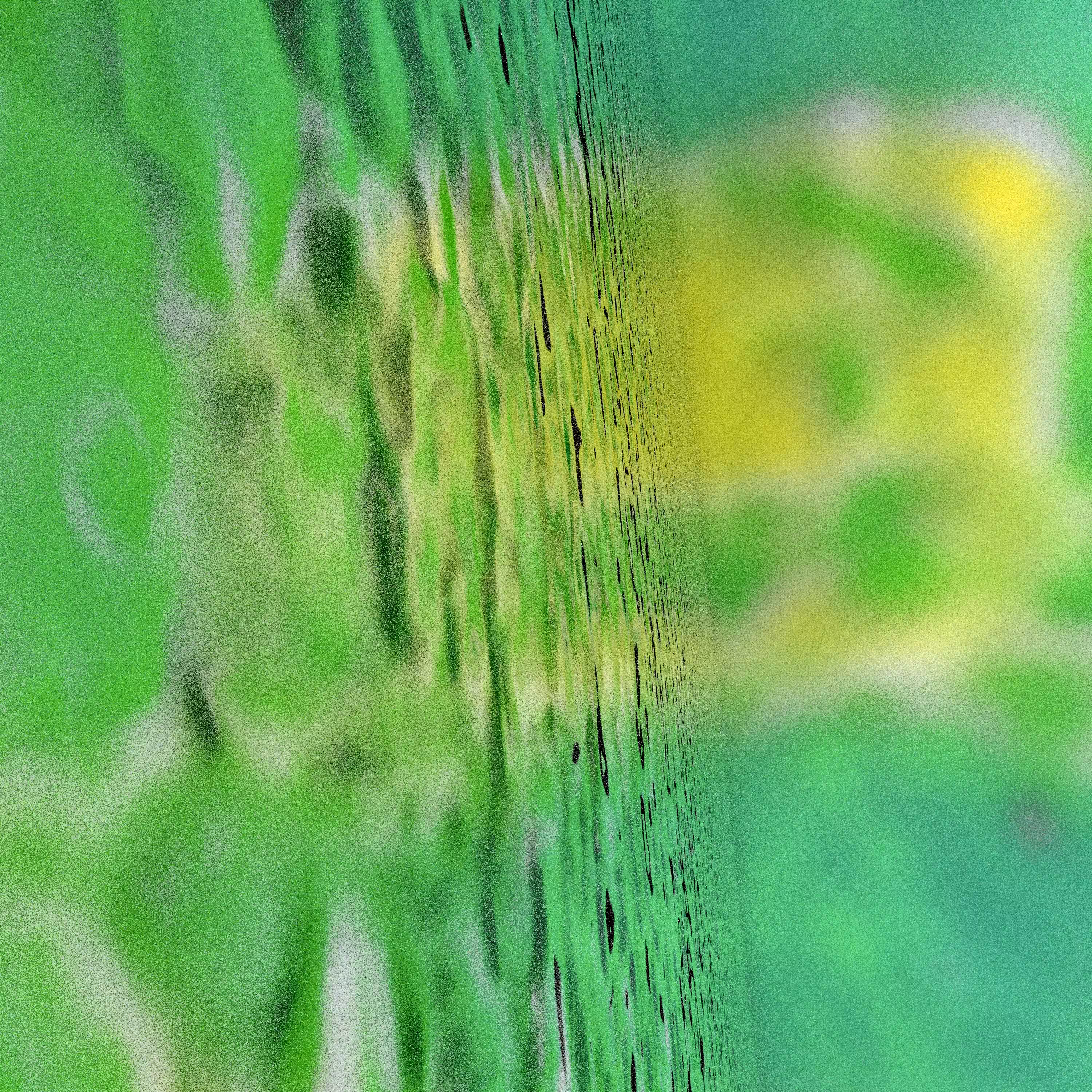 Color Wave - 0025