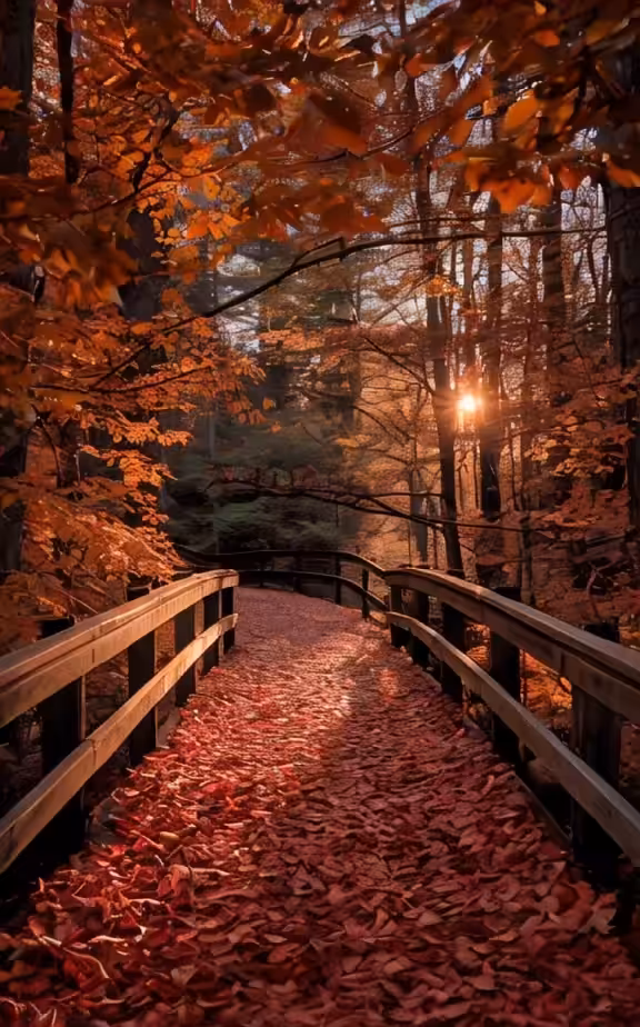 Inspiration Nature: Inspiration #60