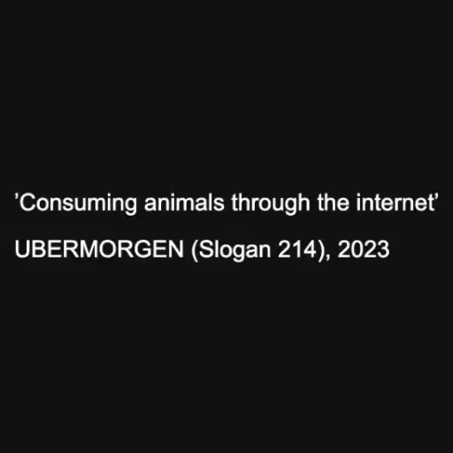 ’Consuming animals t...