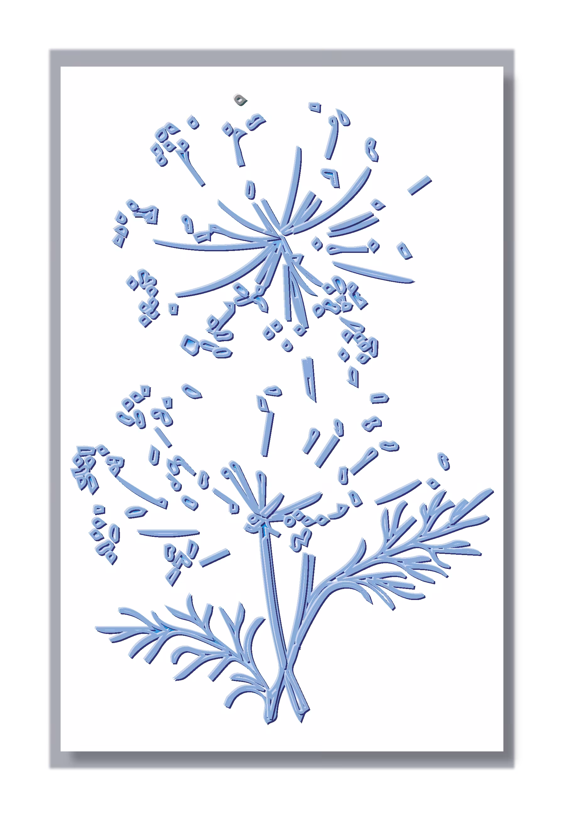 pluma