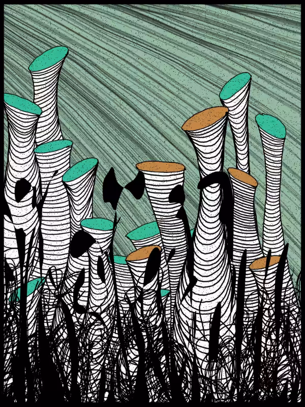 Play with lines #zentangle