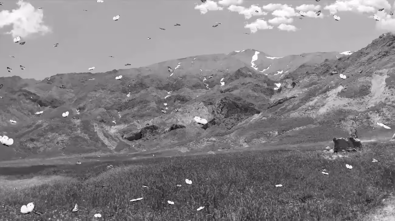Land of Butterflies