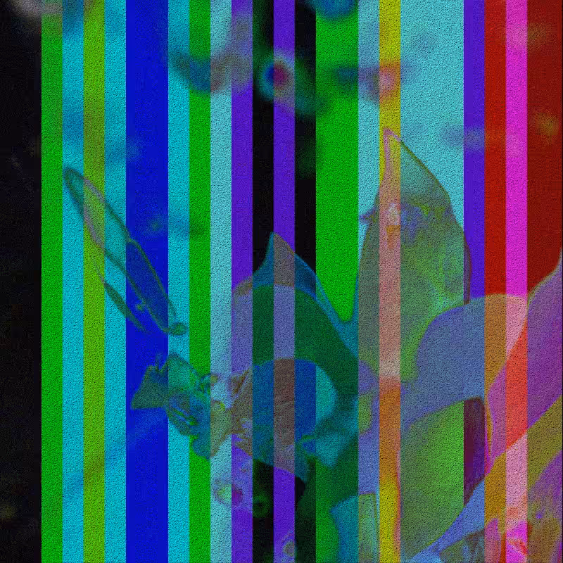 CLDCSMC #164