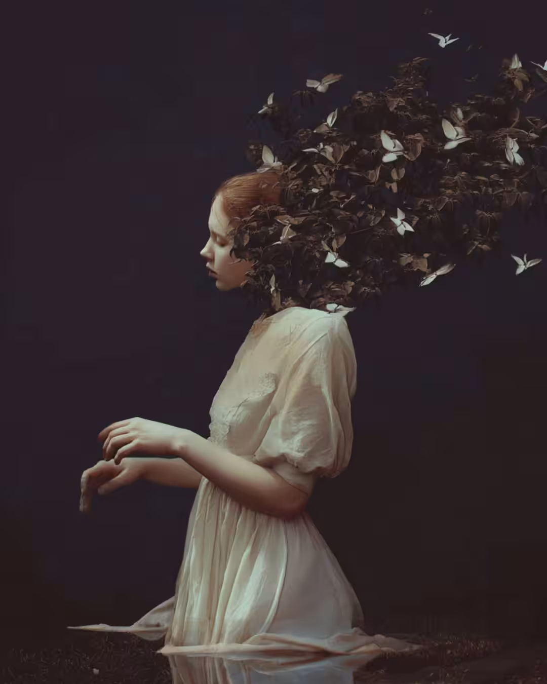 Where Silence Take Root
