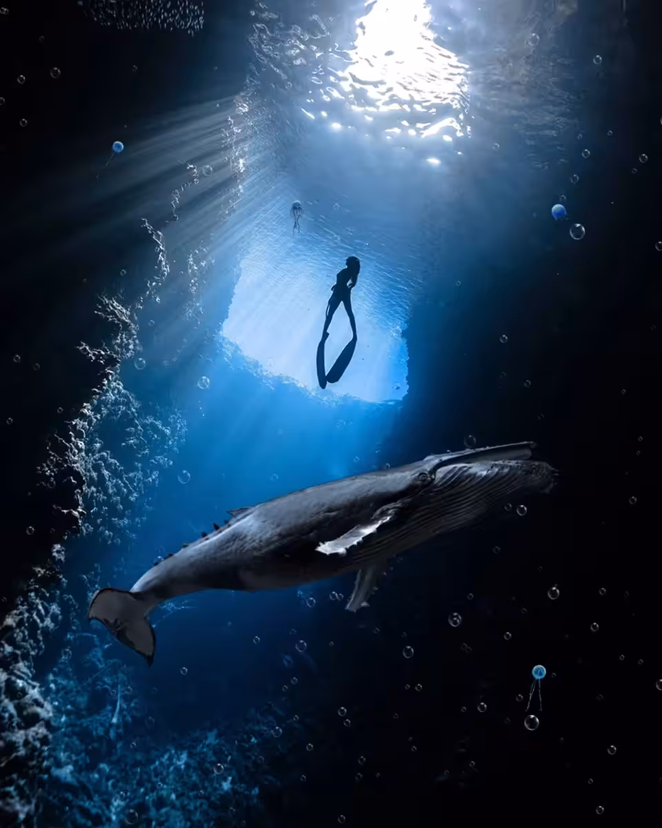 / UNDERWATER /