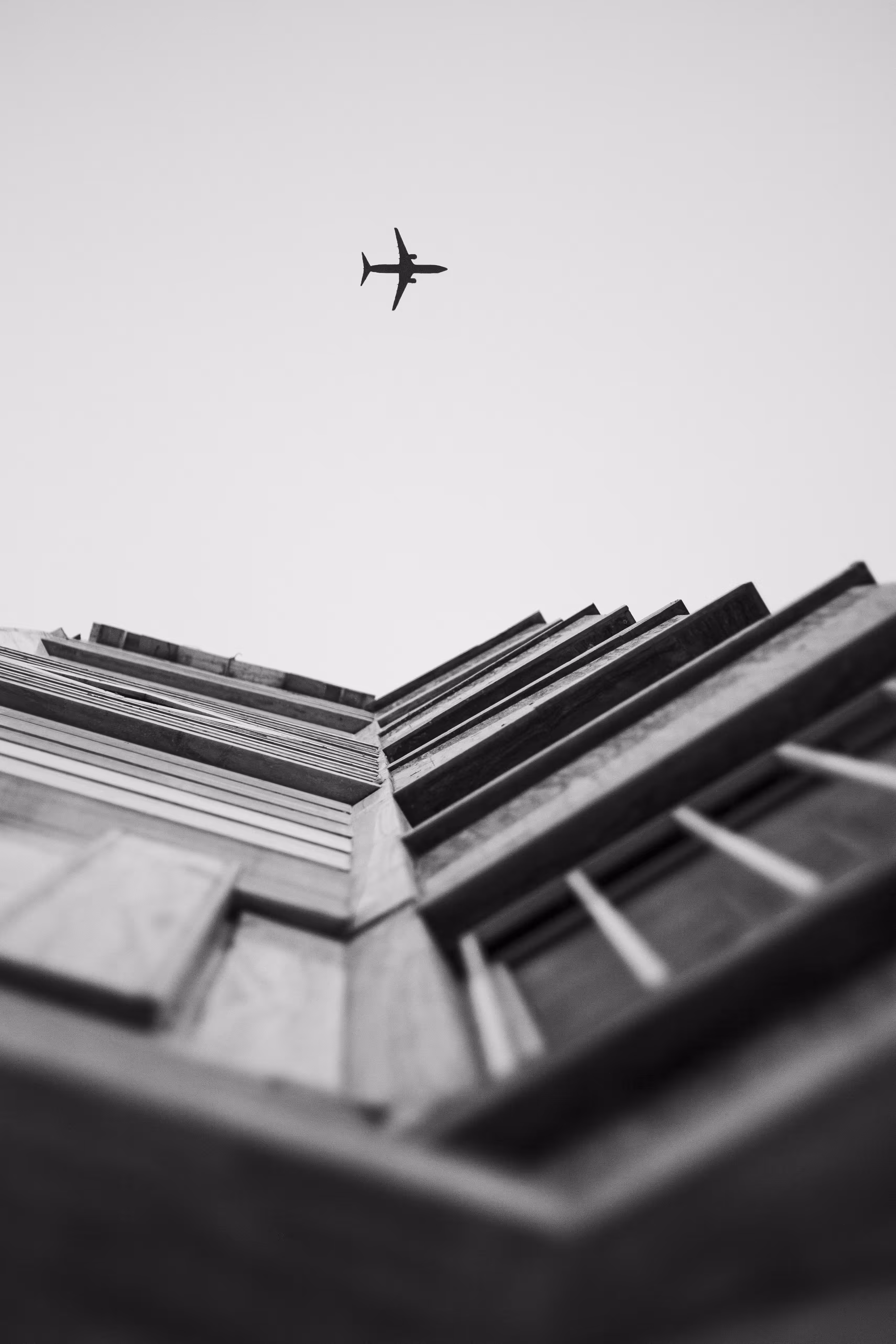 The Happy Valley: Soar