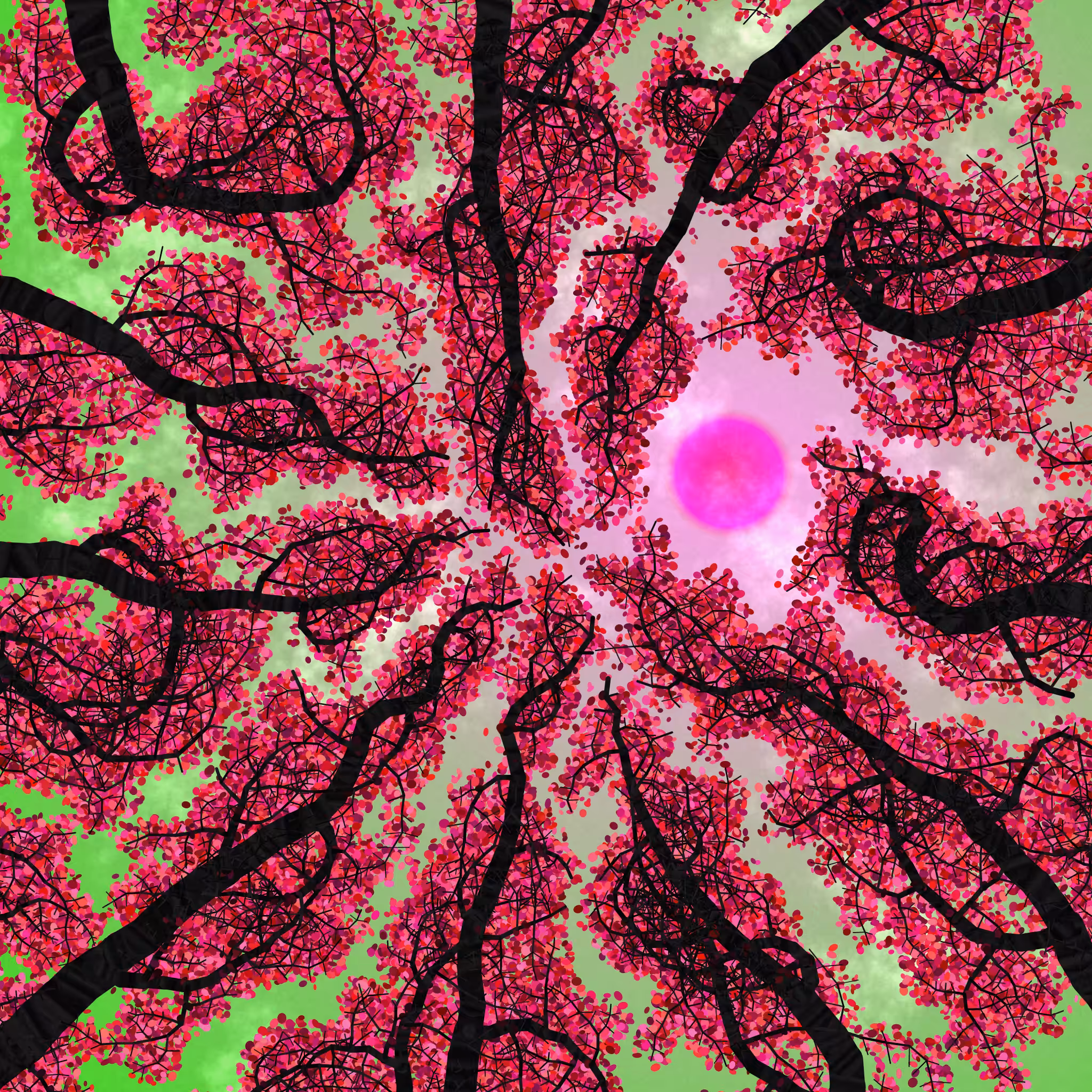 Tree Skyness #229