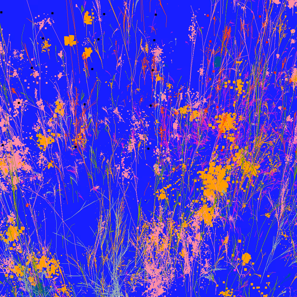 Infinite Garden: 11420 Flowers