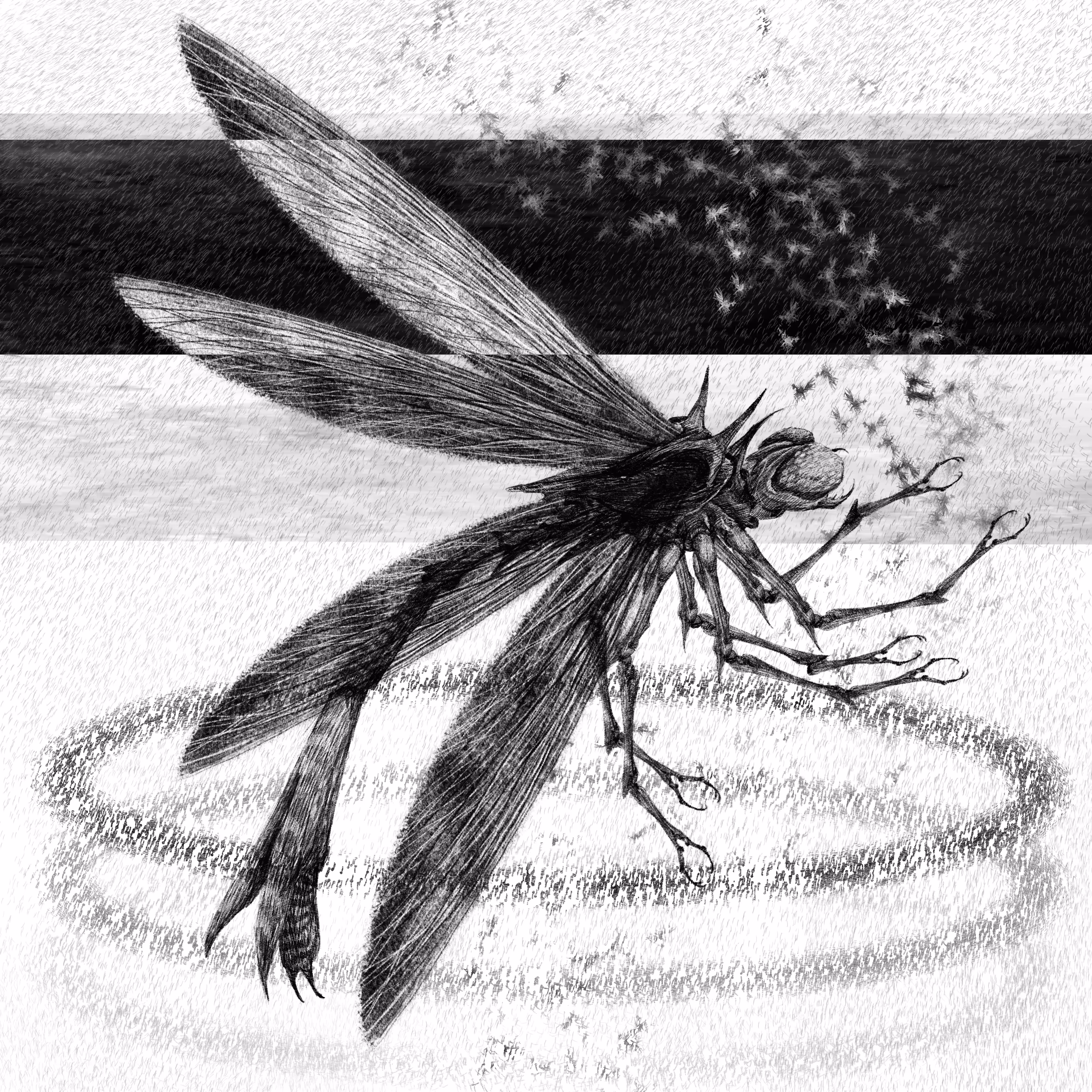 DRAGONFLY