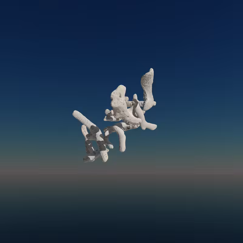 Bone Work (Gulf of Mexico) 2022 #112