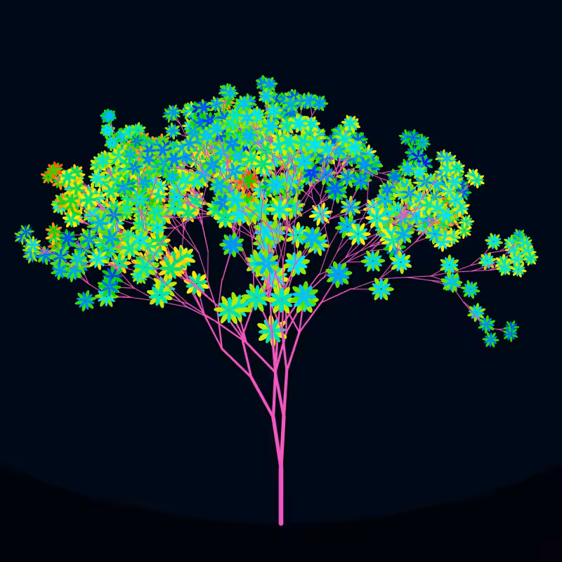 Arboreta #4