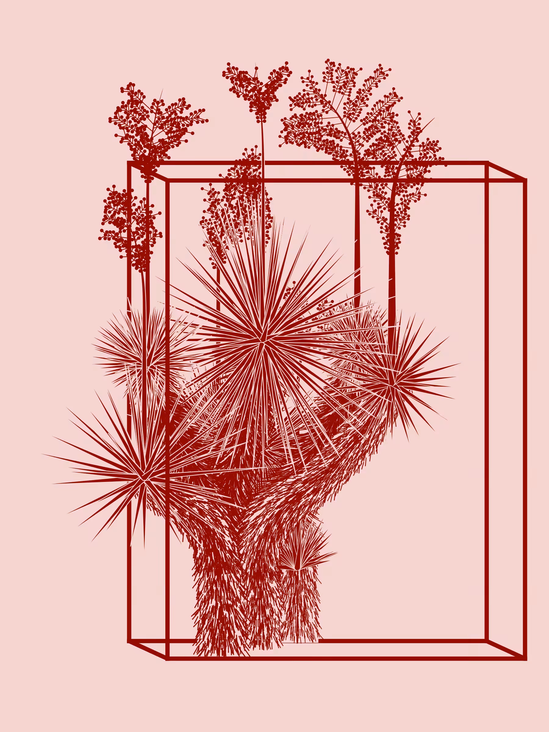 Marfa Yucca #11