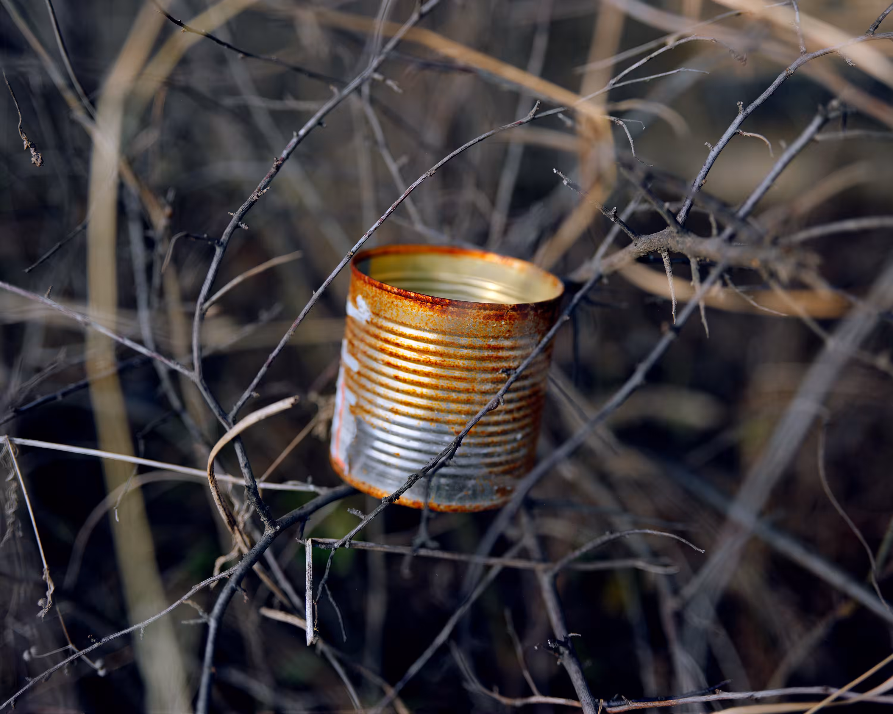 Bastard Countryside #40 Tin