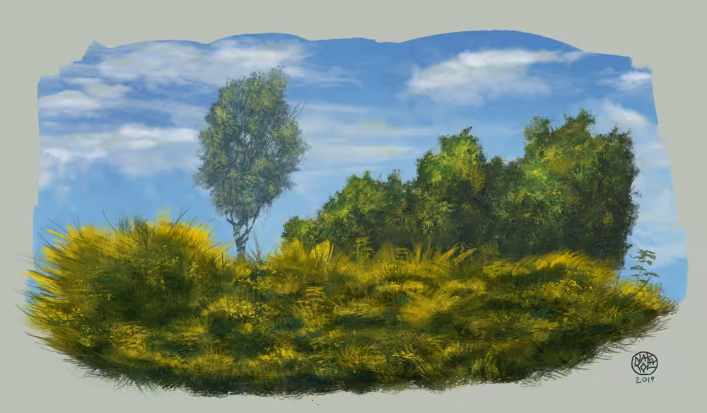 Vegetation