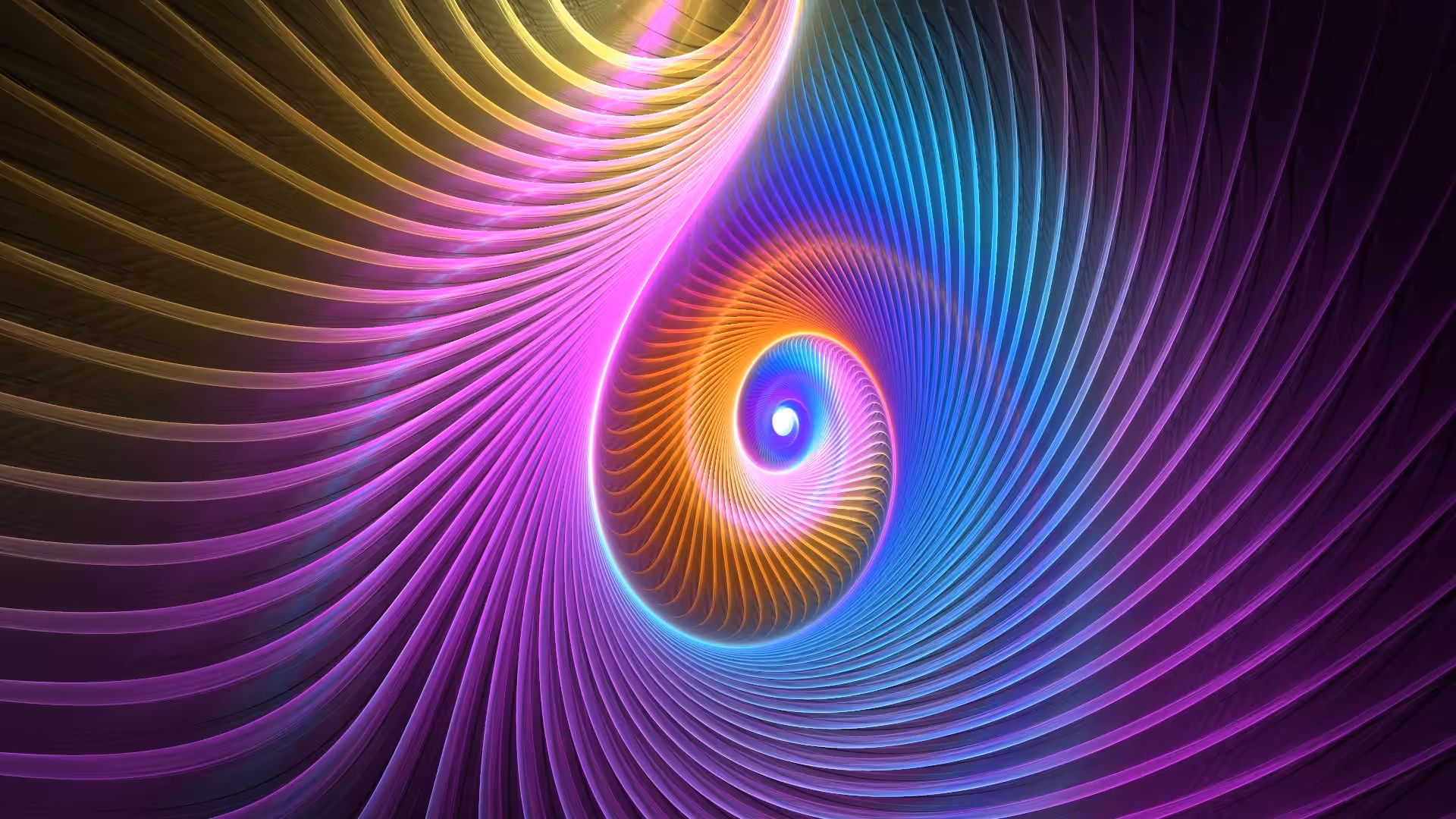 The eye