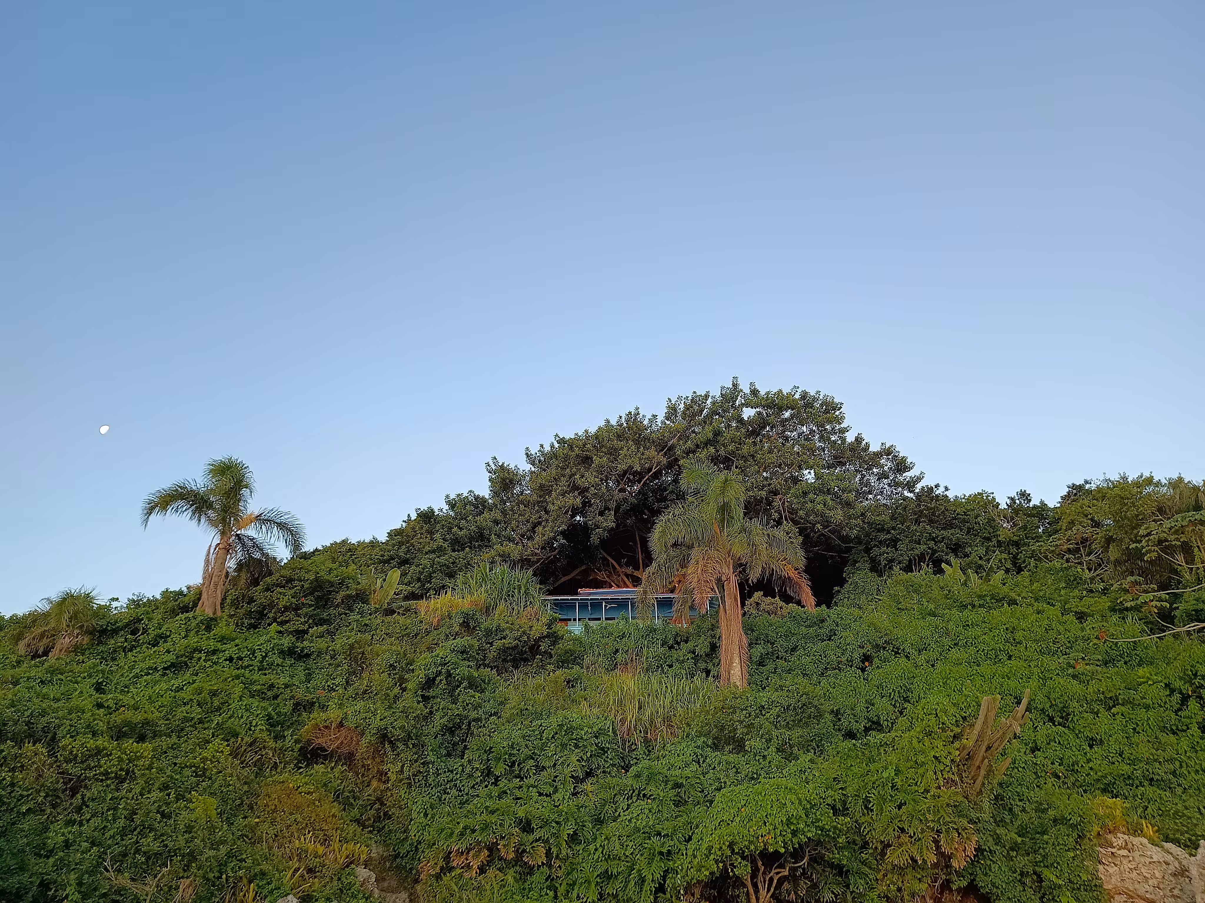 Rodeo posts: A hidden home