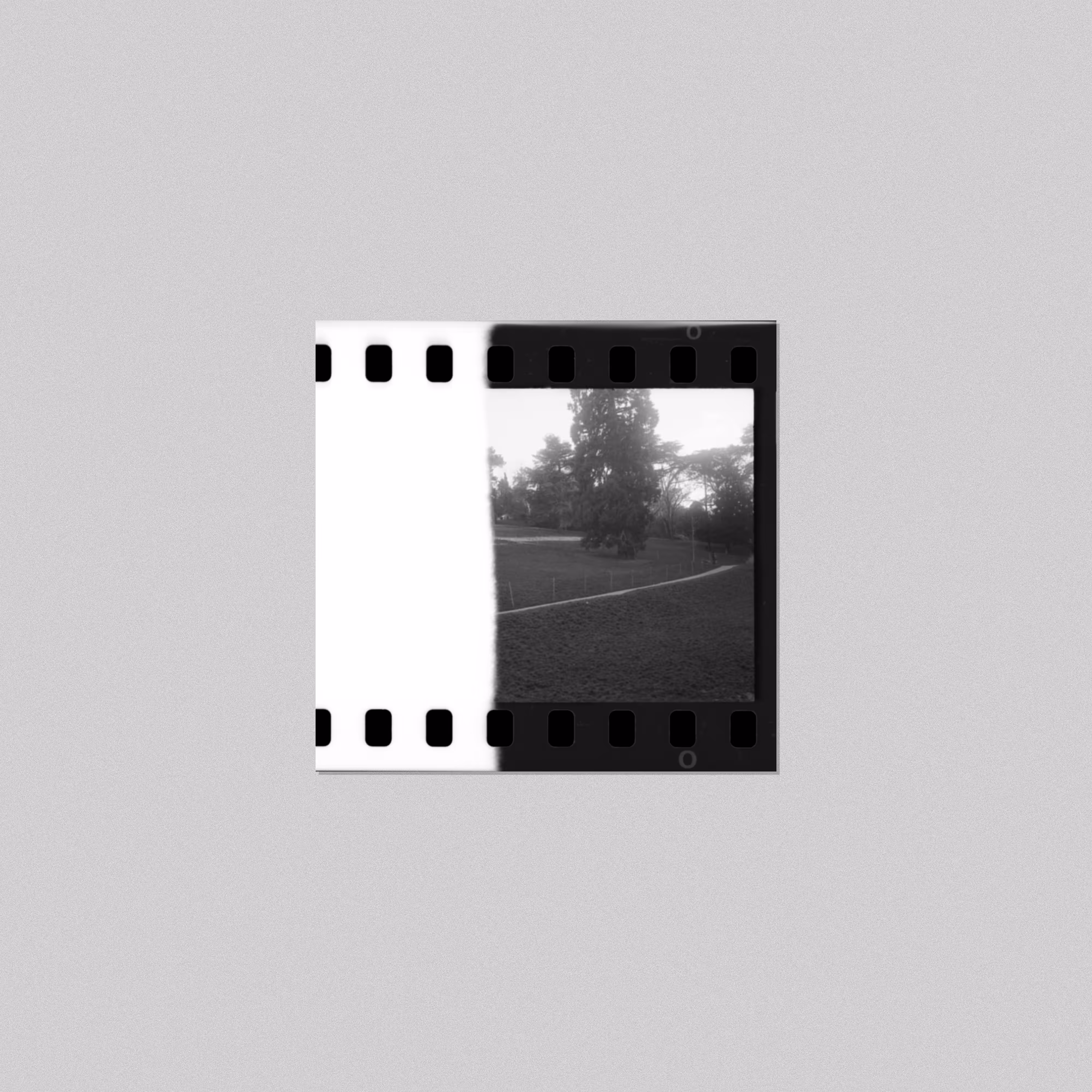 Forgottez 057
