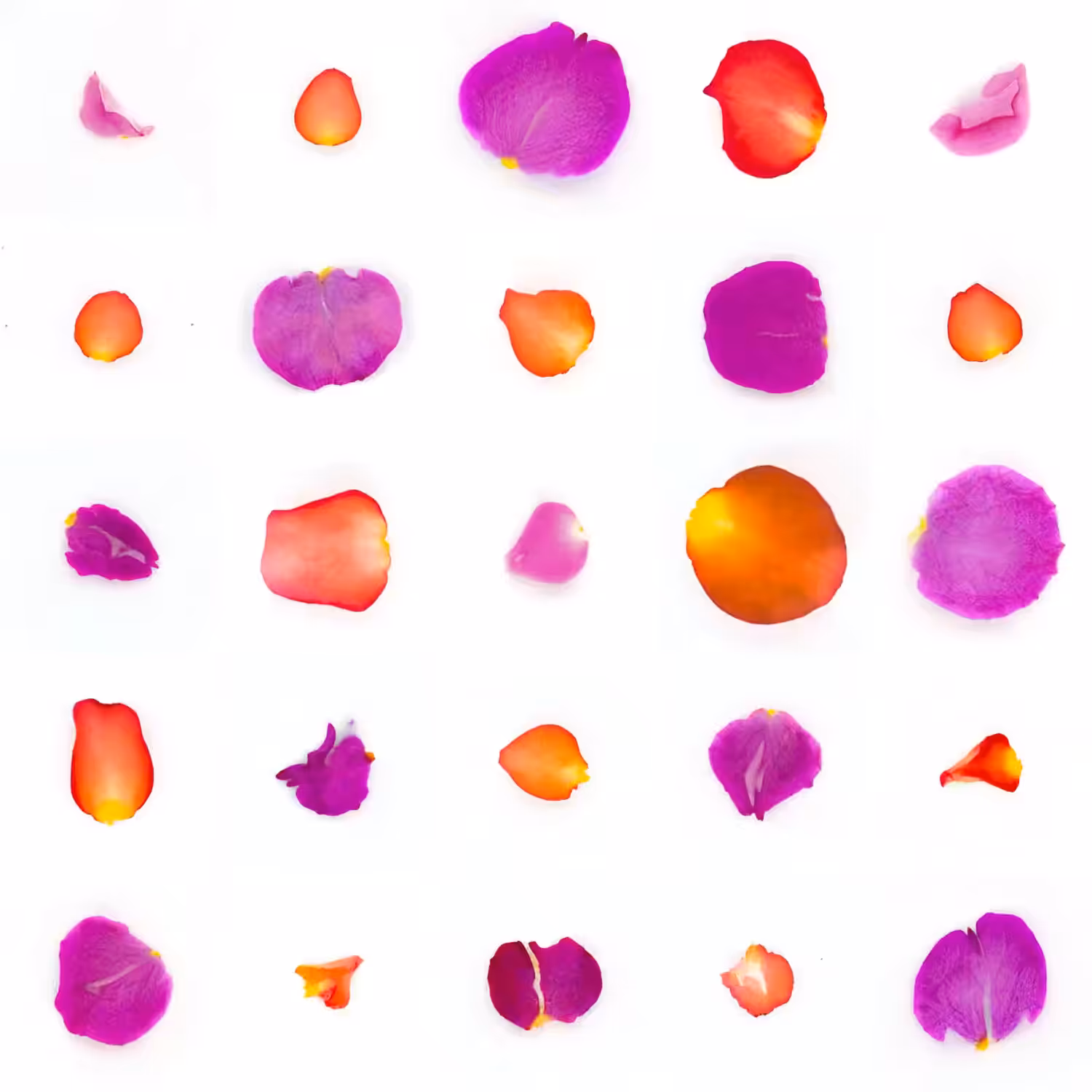 Infinite Petals 5x5#20696