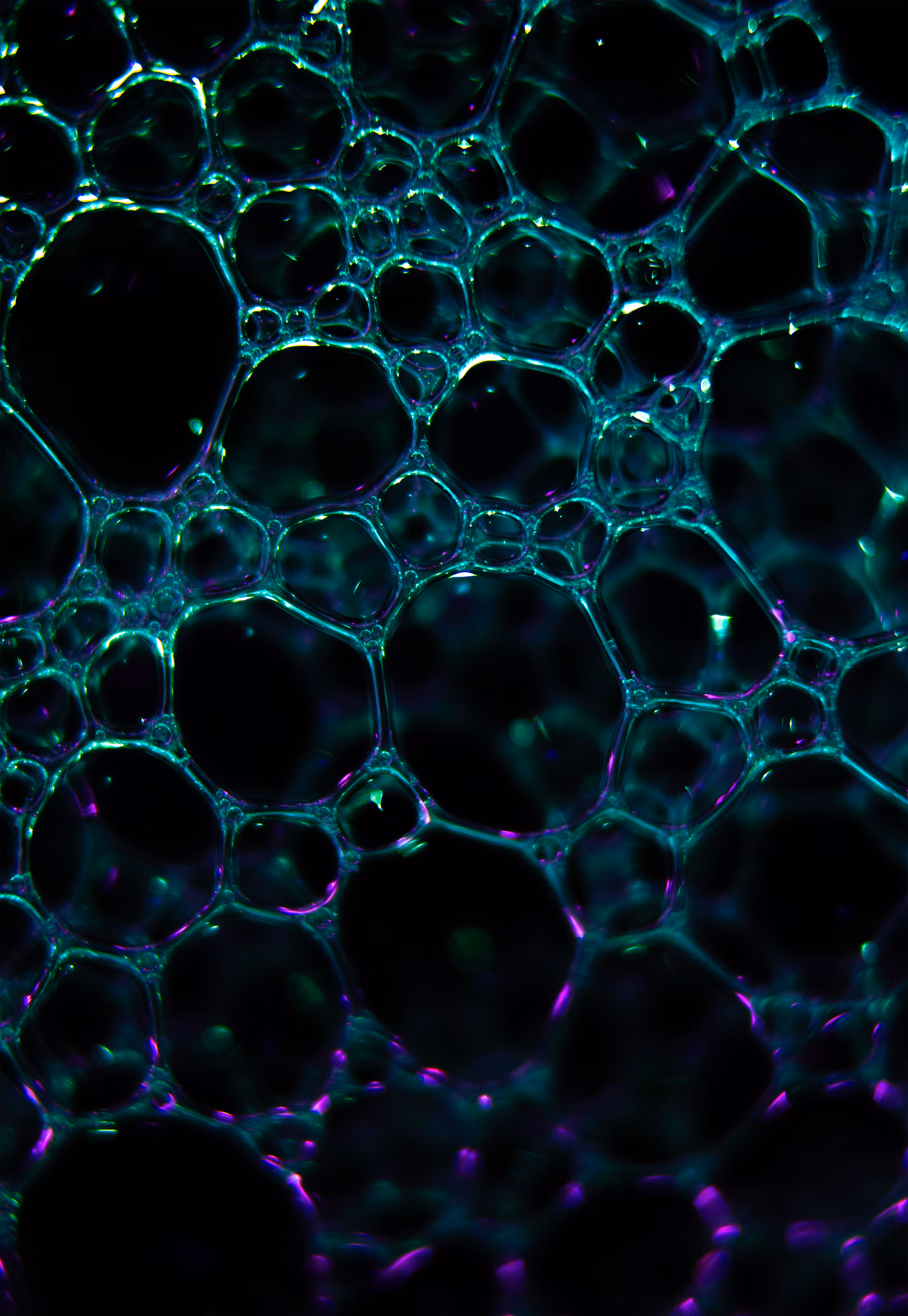 #70 Bubbles